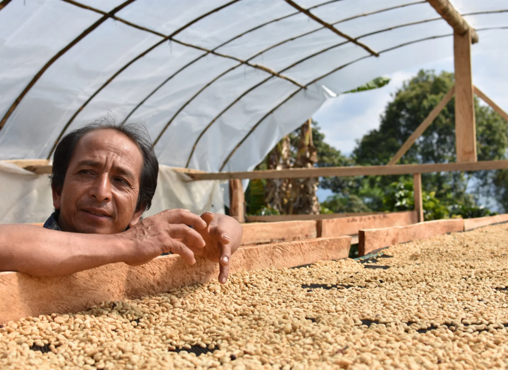 Peru - Garmas Maximiliano Garcia | Geisha Washed - Archived - 40g - Image 4