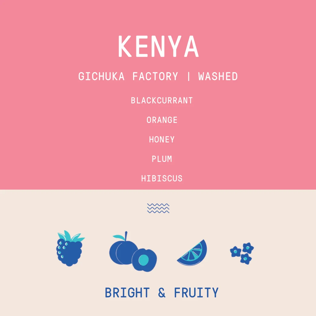 Kenya - Gichuka Factory | Washed - Archived - 2.5 KG - Image 2