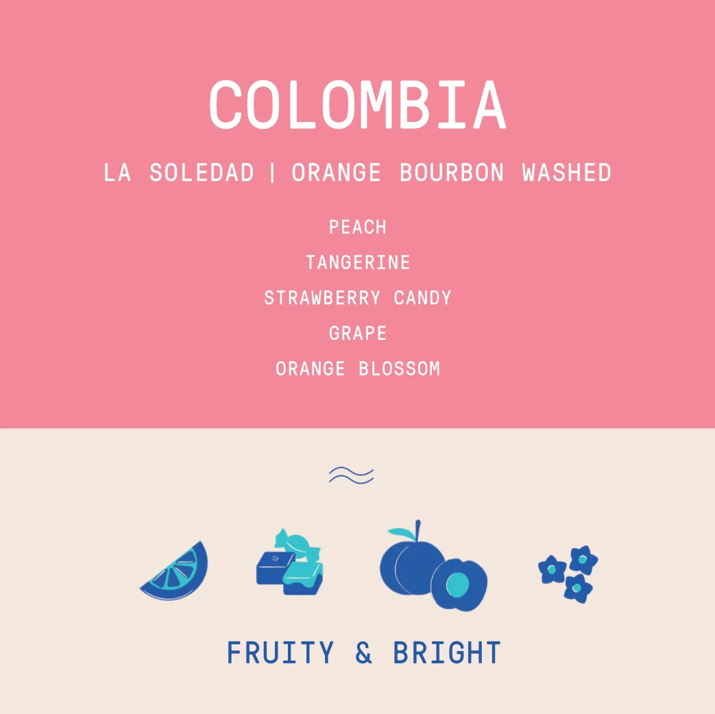 Colombia - La Soledad | Orange Bourbon Fermented Washed 2025 - Archived - 250g - Image 2