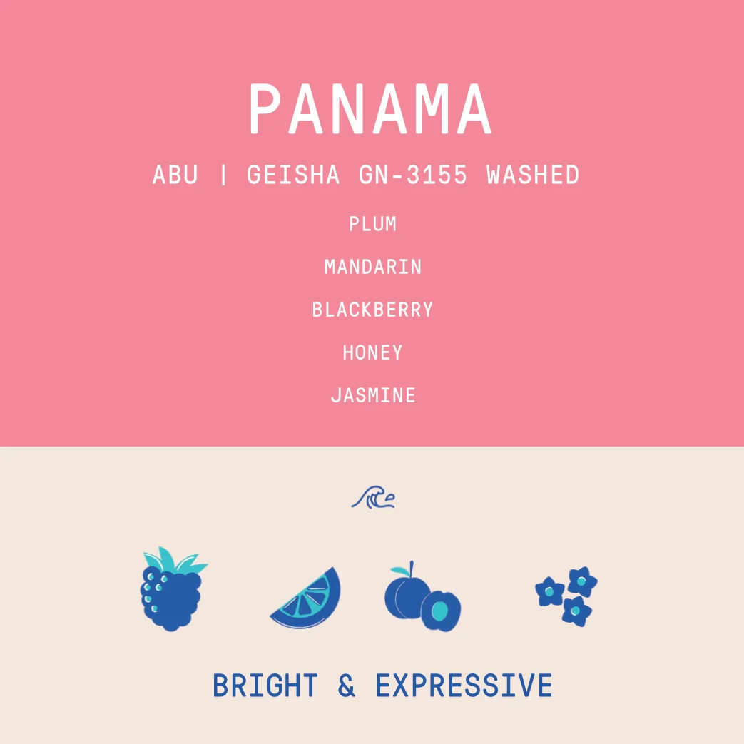 Panama - Abu Geisha GW-3155 | Washed - 100g - Archived - Image 2
