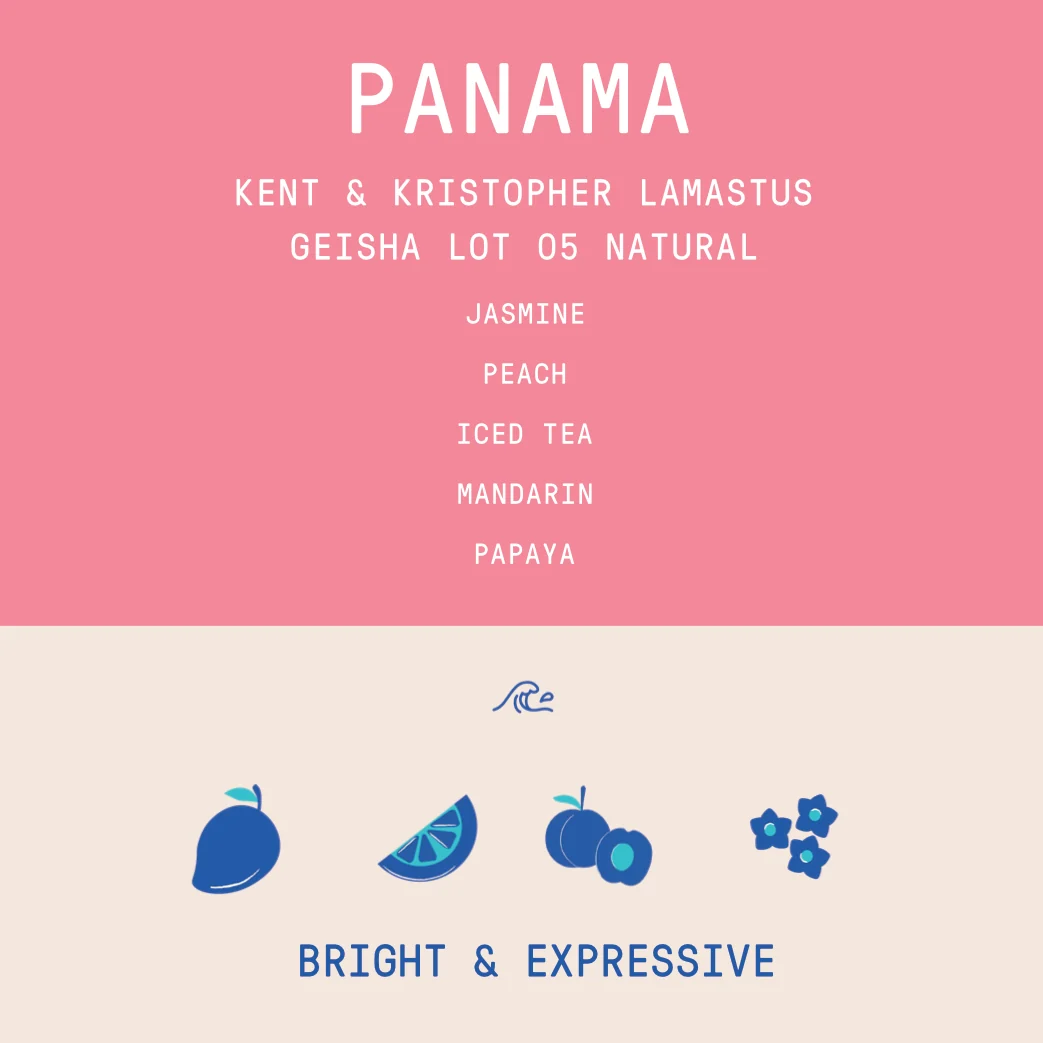 Panama - Kent and Kristopher Lamastus - Geisha Lot 05 | Natural - 100g - Archived - Image 2