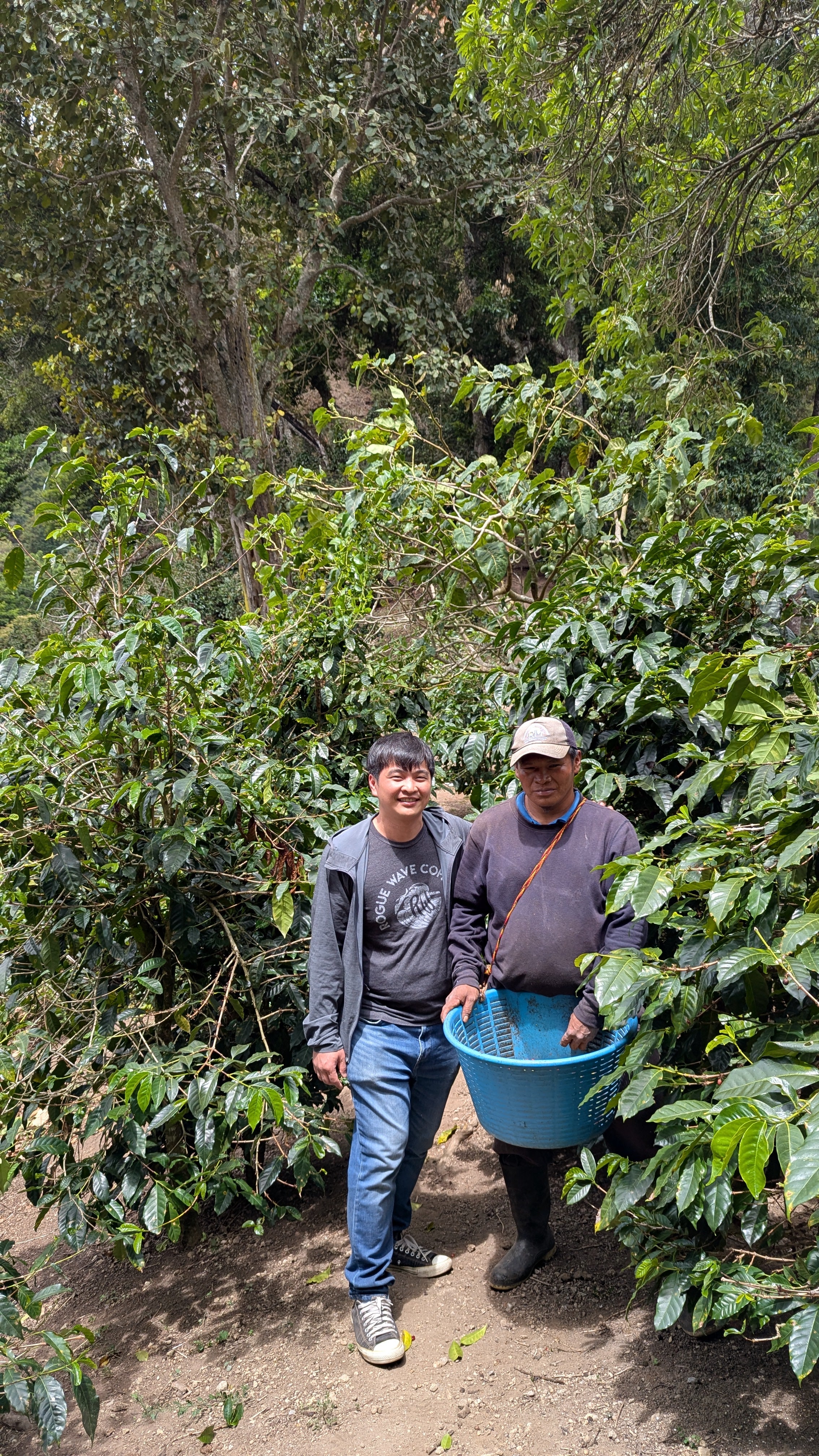 Panama - Bambito Estate Red Bourbon | Natural - Archived - 200g - Image 6