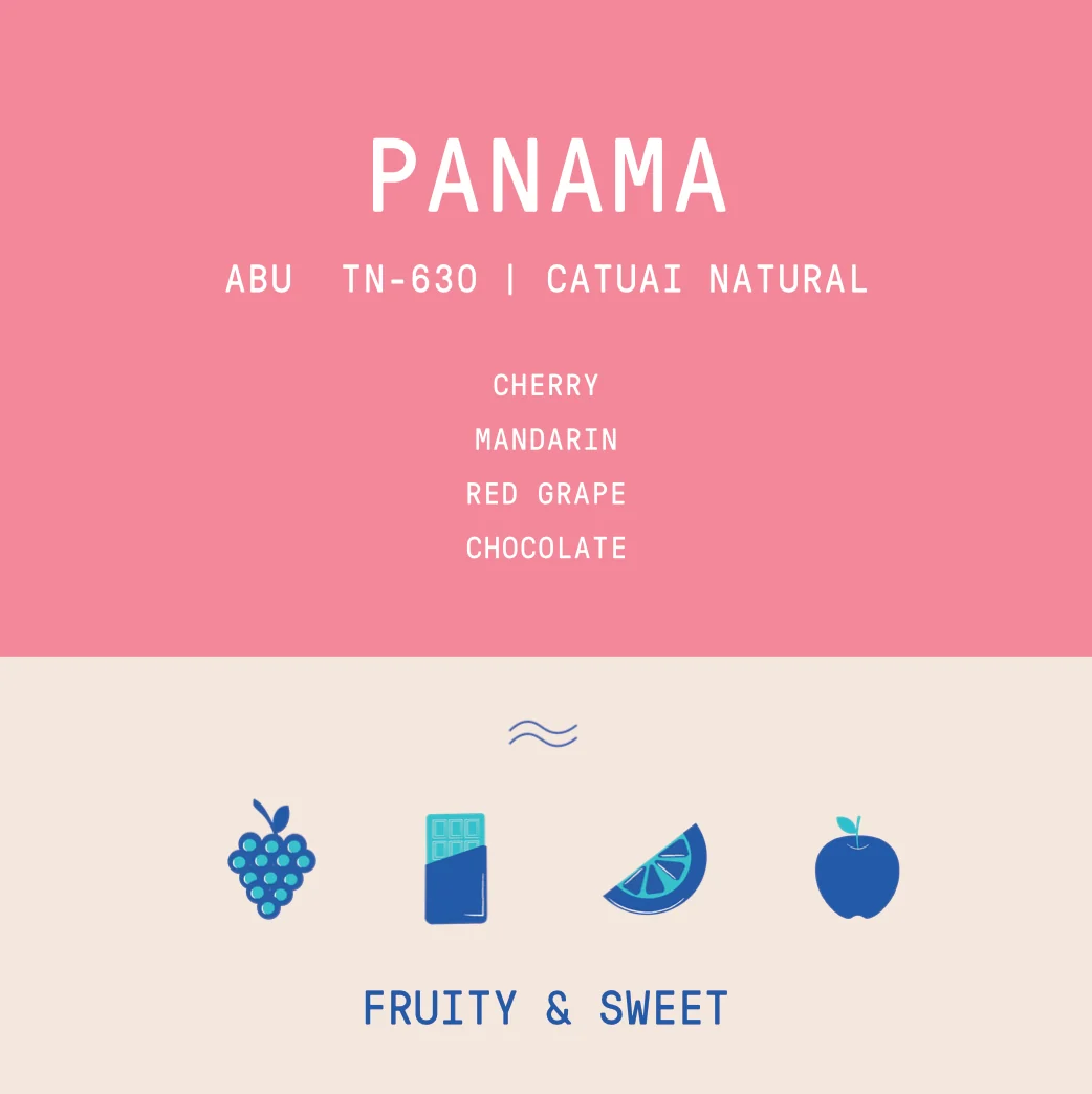 Panama - Abu Catuai Lot TN-630 | ASD Natural - Archived - 250g - Image 2