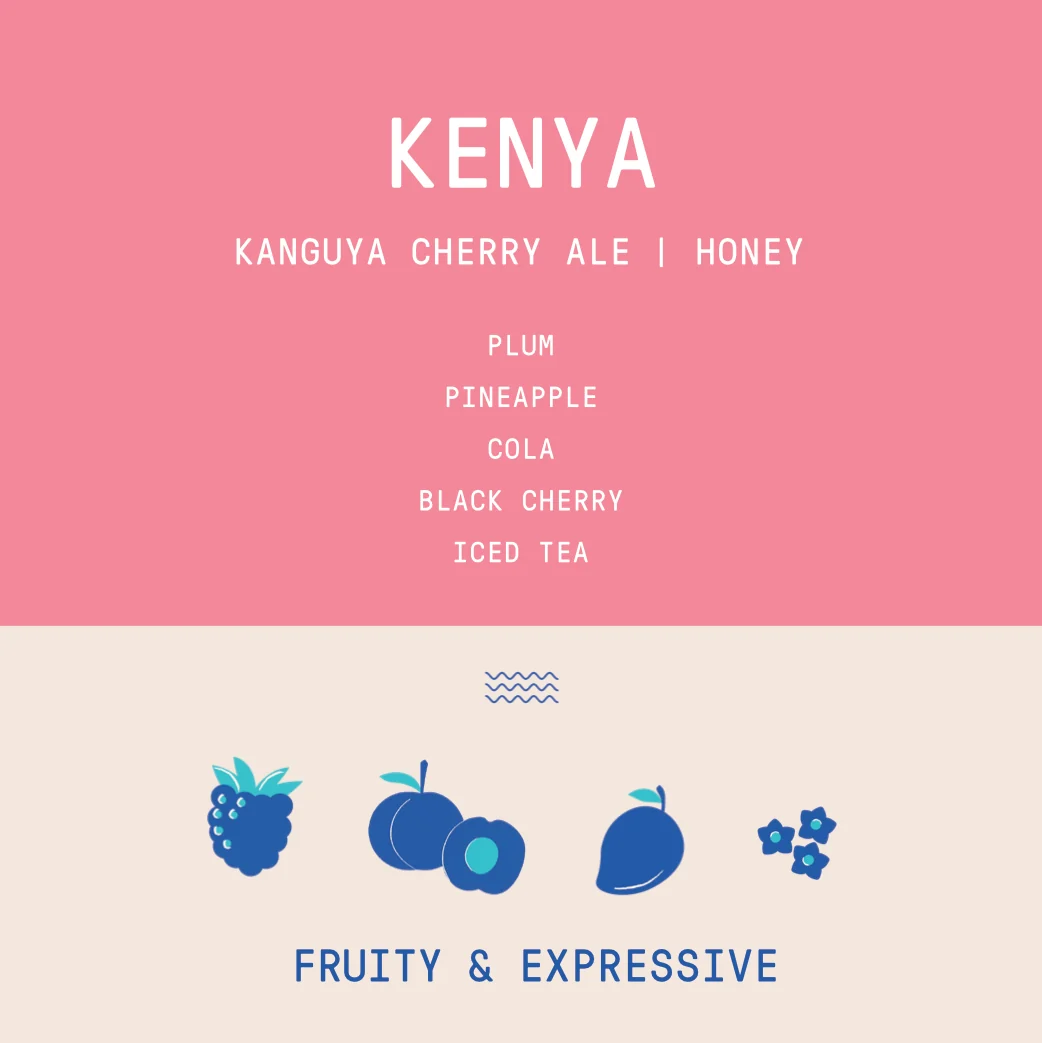 Kenya - Kanguya Cherry Ale | Black Honey - Archived - 40 g - Image 2