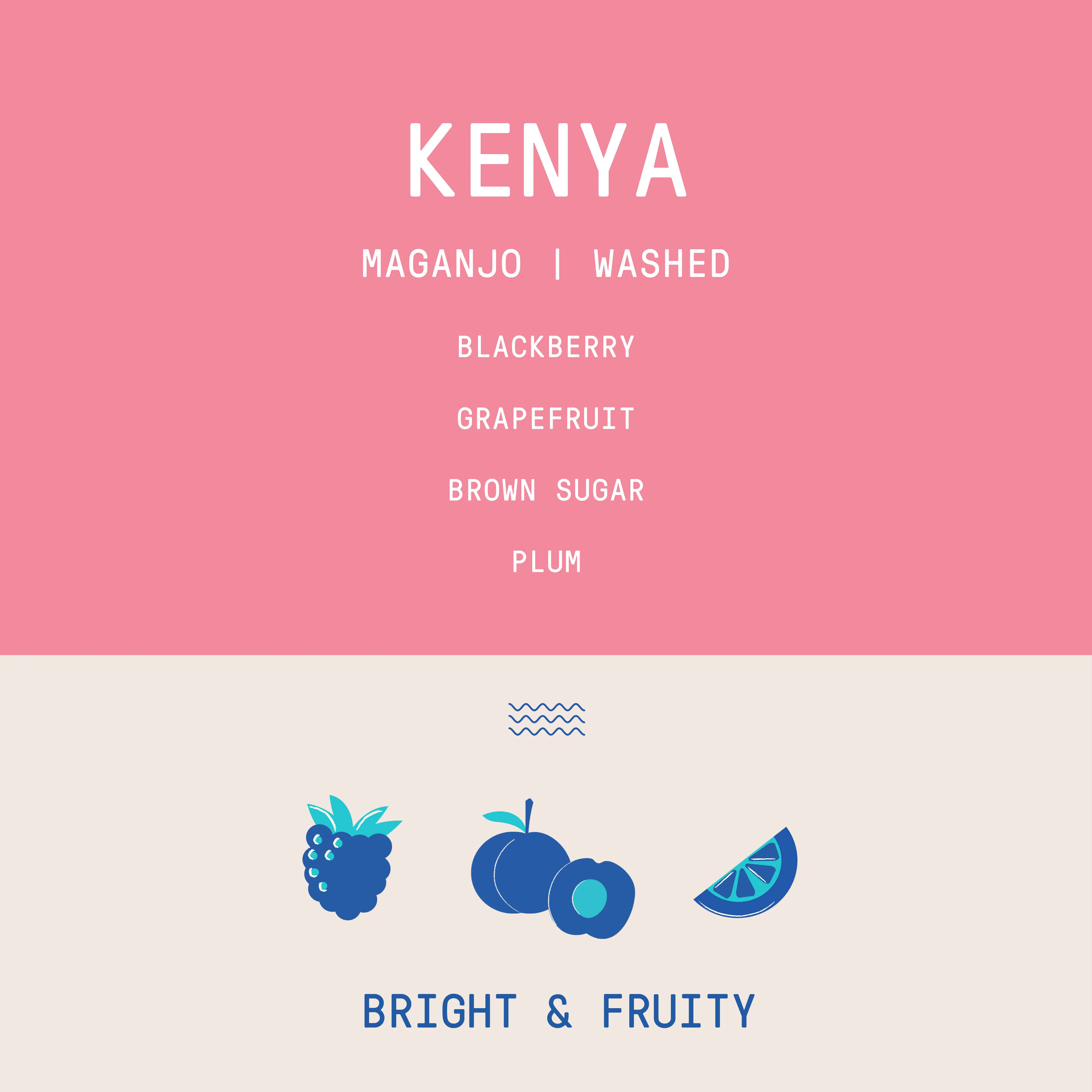 Kenya - Maganjo | Washed - Archived - 2.5 KG - Image 2