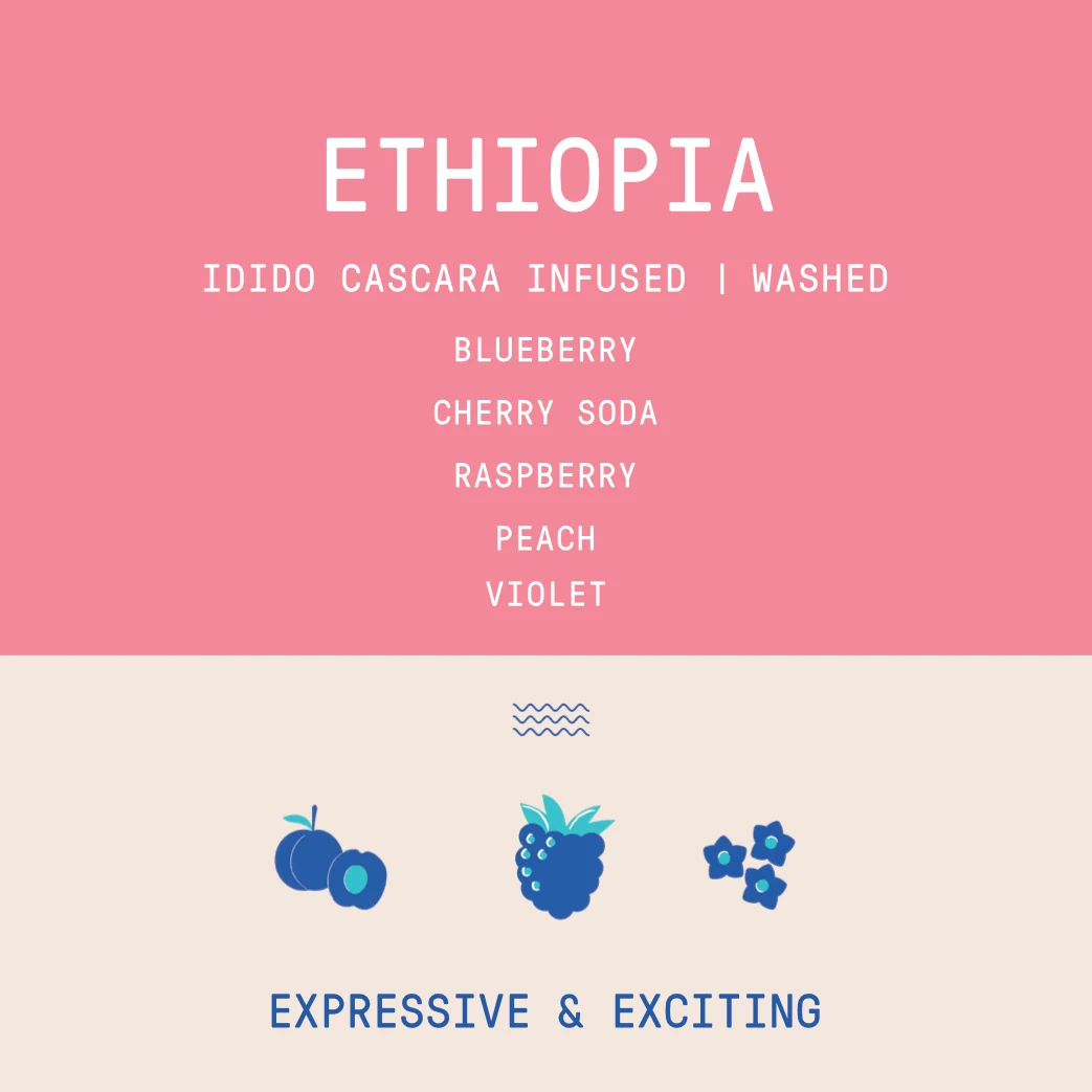 Ethiopia - Idido Cascara Infused | Washed - Archived - 40 g - Image 2