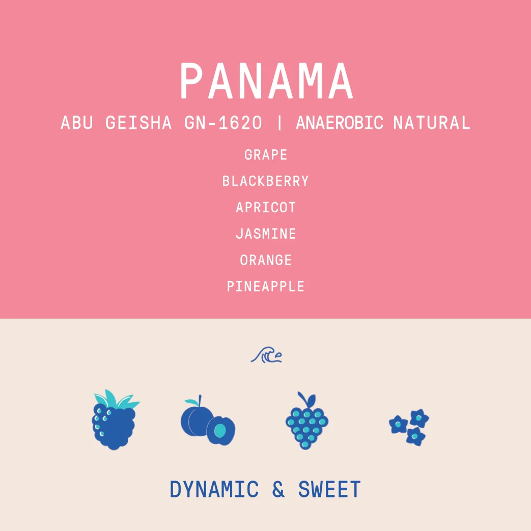 Panama - Abu Gesha GN-1620 | Submerged Anaerobic Natural - 100g - Archived - Image 2