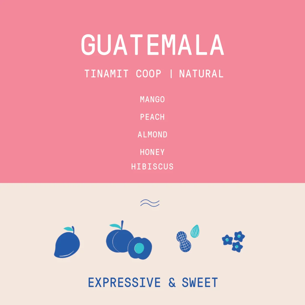Guatemala - Tinamit Coop | Natural - Archived - 250g - Image 2