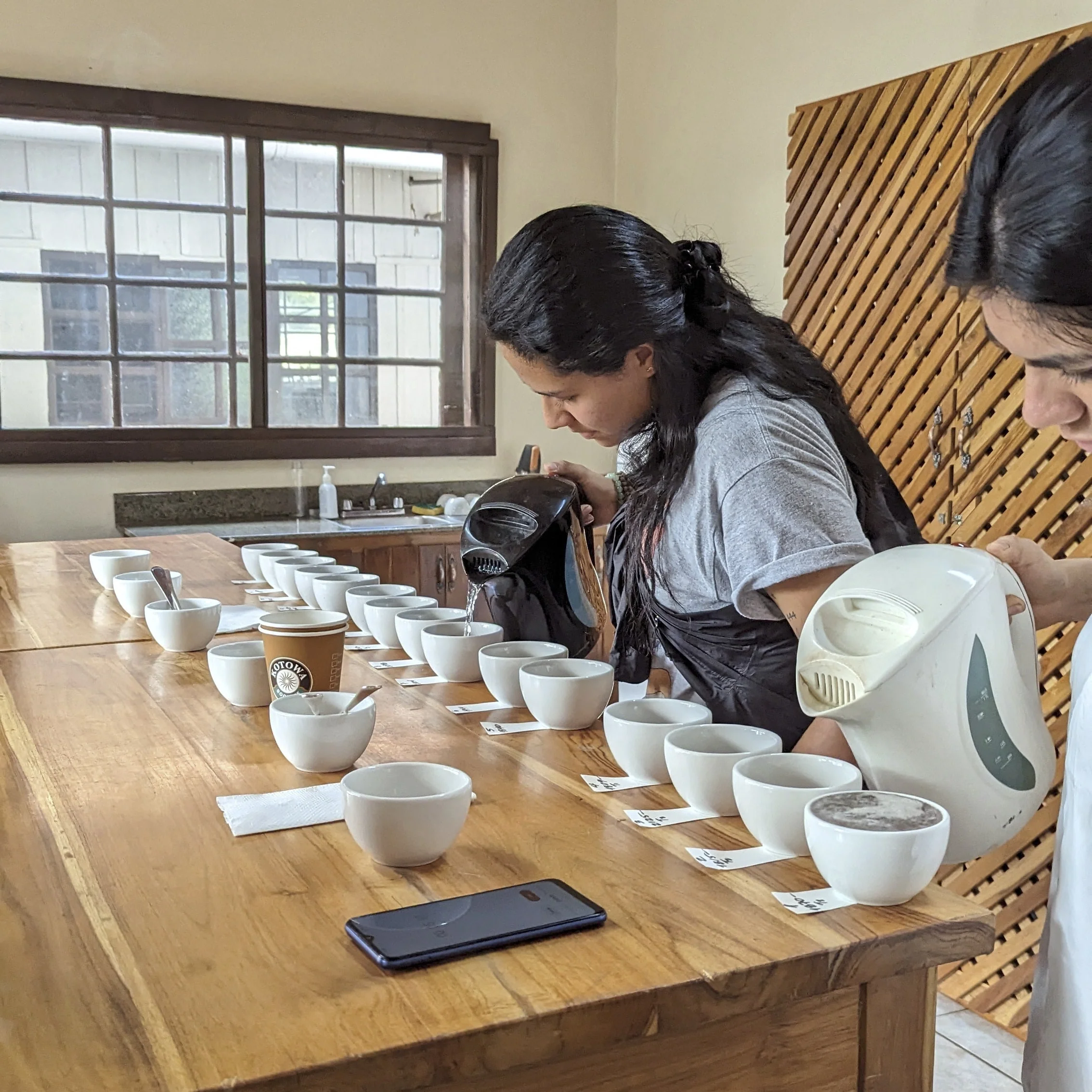 Panama - Silvia Marina Lot 3121-T2 | Geisha Washed - 100g - Archived - Image 3