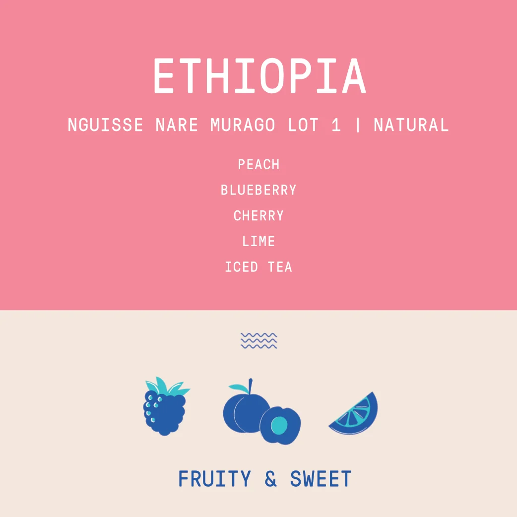 Ethiopia - Nguisse Nare Murago Lot 1 | Natural - Archived - 40g Sample - Image 2