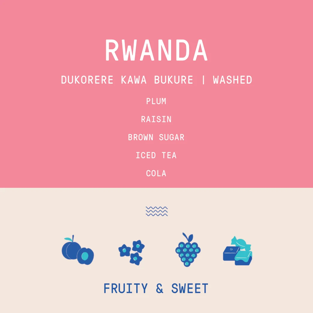 Rwanda - Dukorere Kawa Bukure Lot 5 | Washed - 340g - Image 2