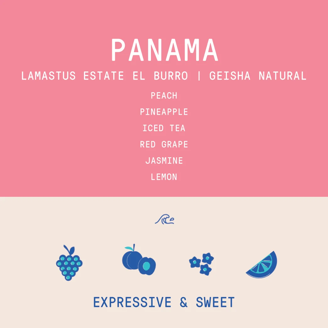 Panama - Lamastus El Burro Estate | Geisha Natural - 100g - Archived - Image 2