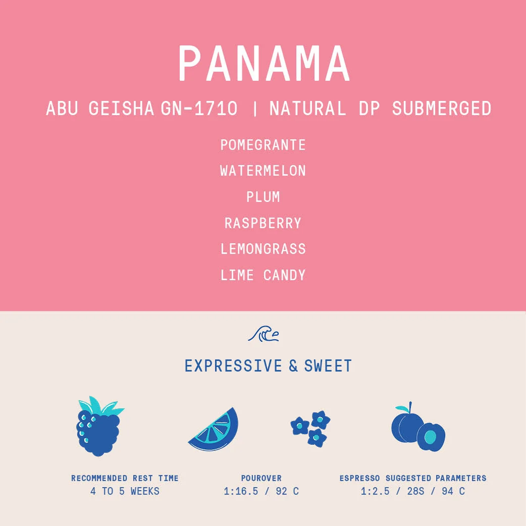 Panama - Abu Geisha GN-1710 | Natural Double Phase Submerged Anaerobic - 100g - Archived - Image 2