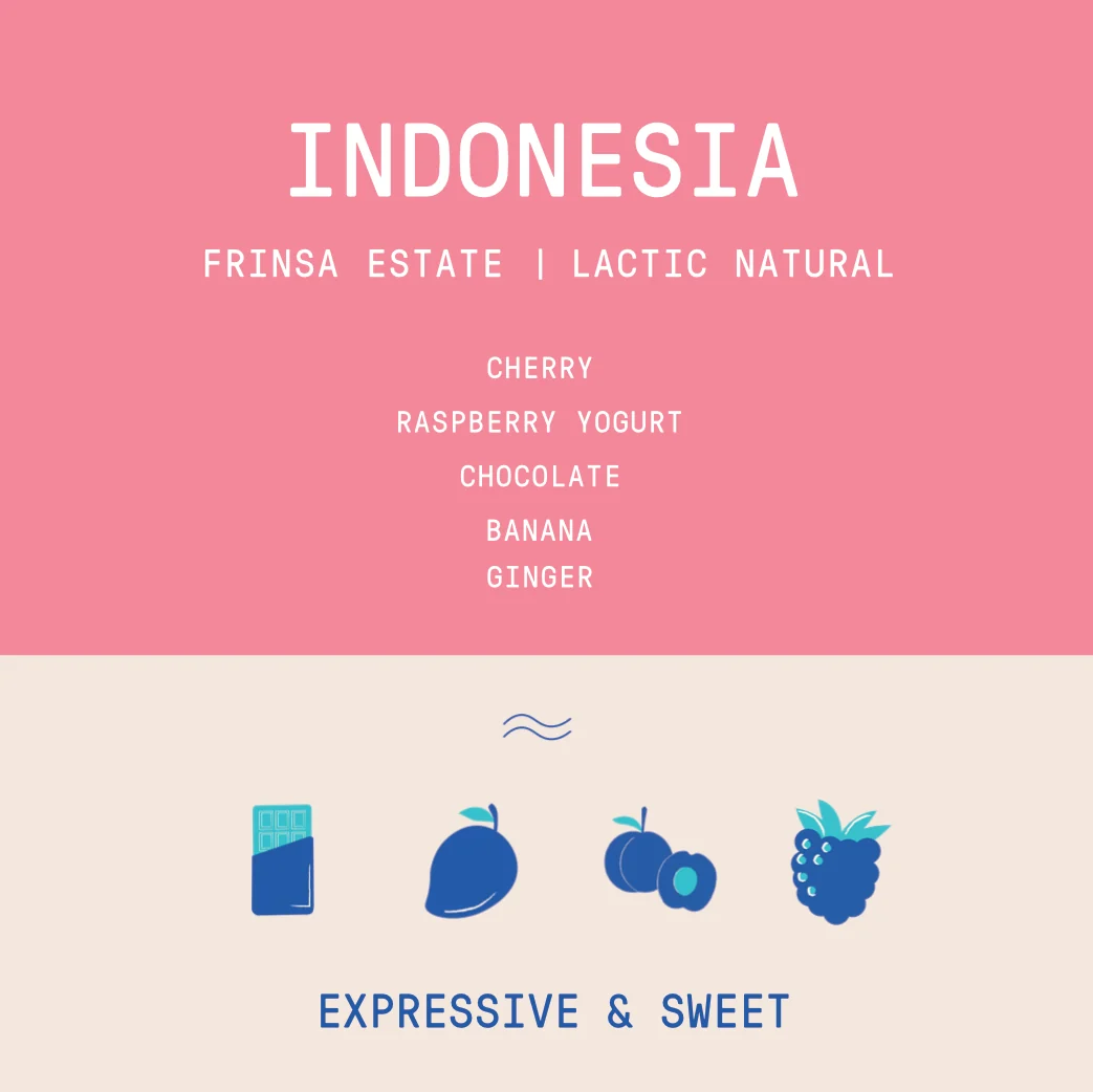 Indonesia - Java Frinsa Estate | Lactic Natural - Archived - 250g - Image 2