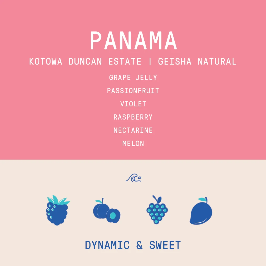 Panama - Kotowa Duncan Estate | Geisha Natural - 100g - Archived - Image 2