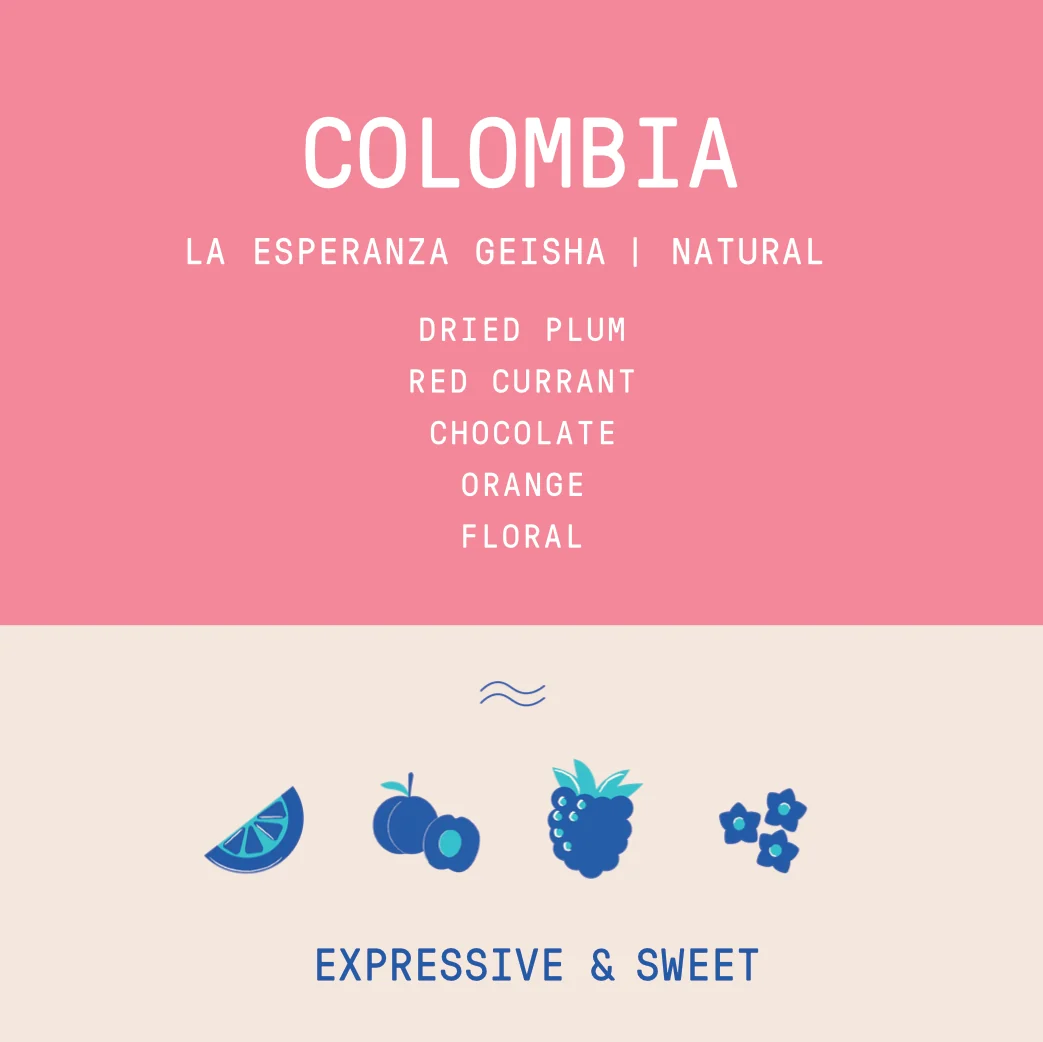 Colombia - La Esperanza Geisha | Natural - Archived - 200g - Image 2
