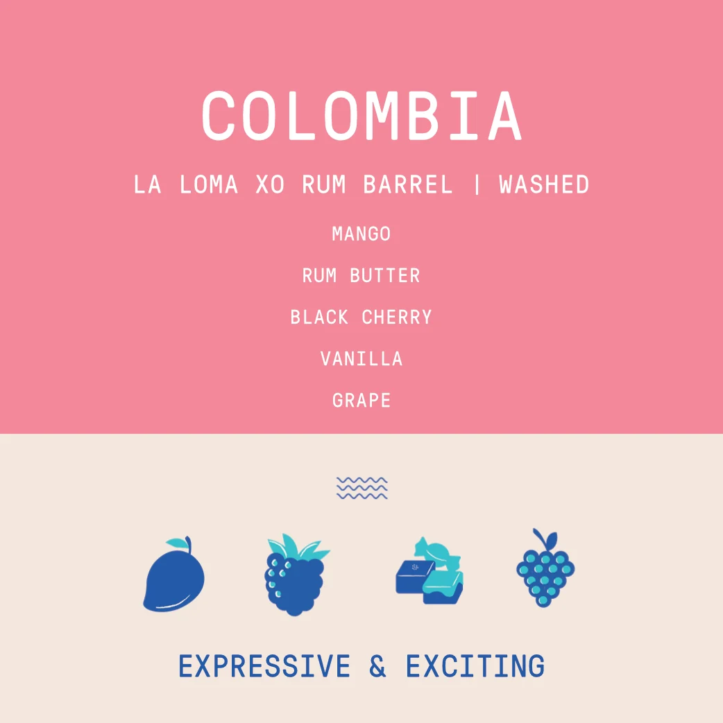 Colombia - La Loma Rodrigo Sanchez | XO Rum Barrel Washed Co-ferment - Archived - 200g - Image 2