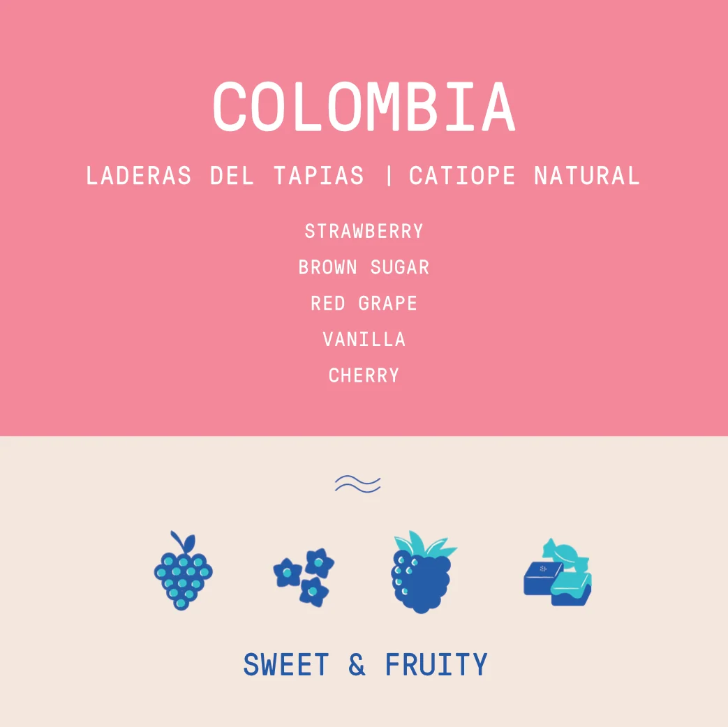Colombia - Laderas del Tapias | Catiope Natural - Archived - 340g - Image 2