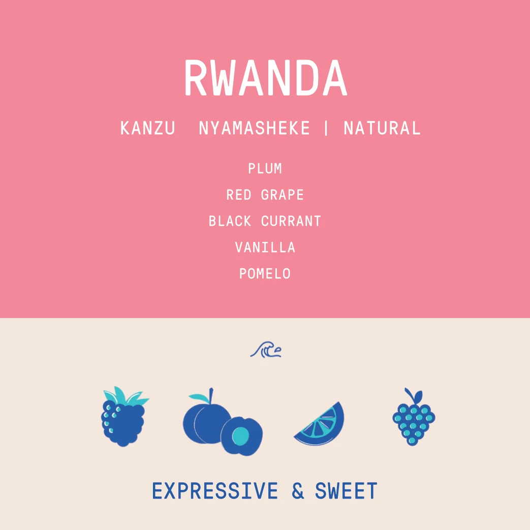 Rwanda - Kanzu Lot 4 | Natural - Archived - 1 KG - Image 2