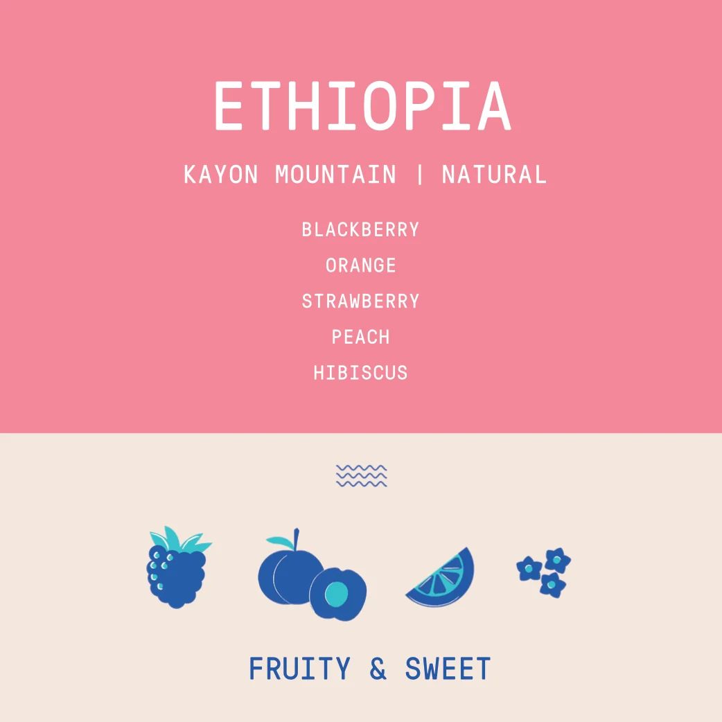 Ethiopia - Kayon Mountain Shakiso | Natural - Archived - 2.5 KG - Image 2