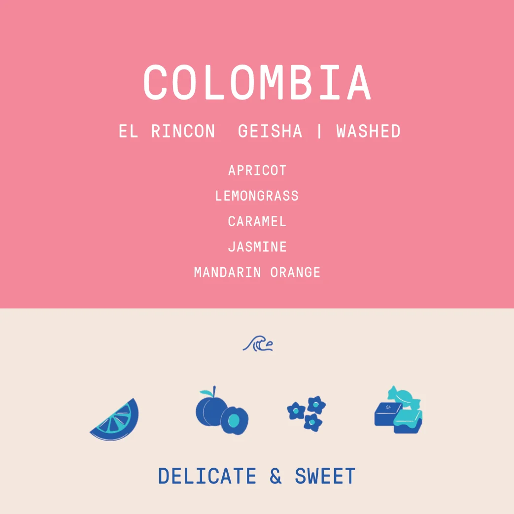 Colombia - El Rincon Diego Horta | Geisha Washed - 200g - Archived - Image 2