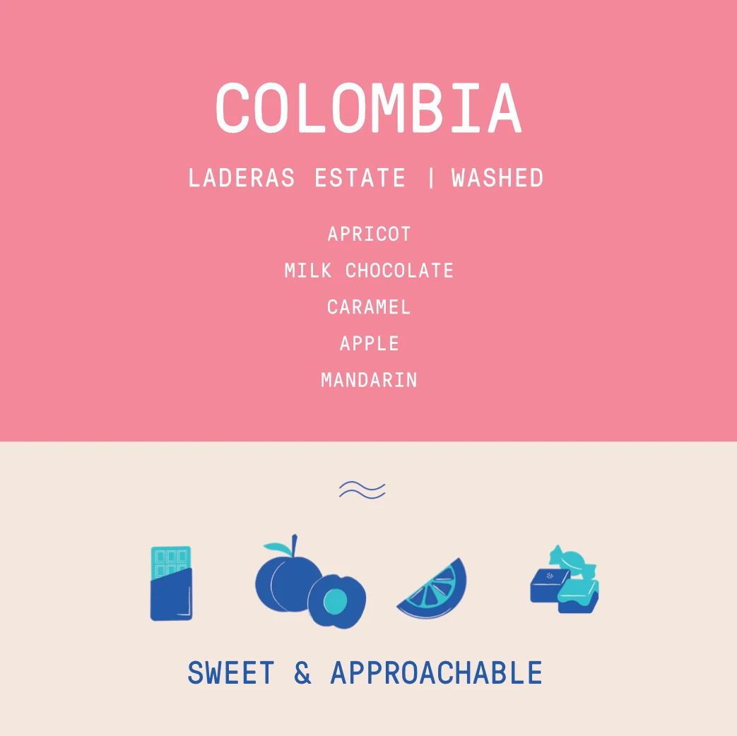 Colombia - Laderas del Tapias | Estate Lot Washed - Archived - 40g SAMPLE - Image 2