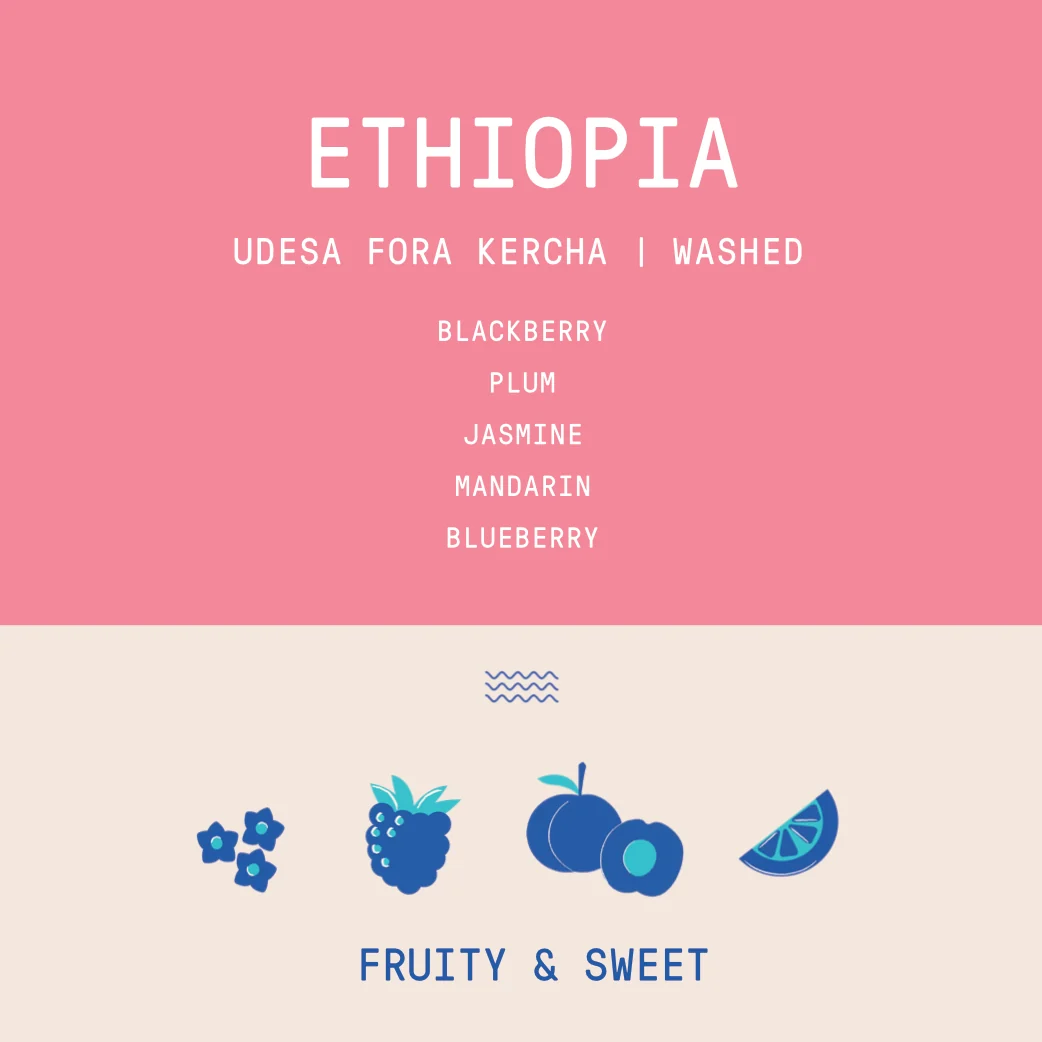 Ethiopia - Udesa Fora Station | Washed - Archived - 340g - Image 2