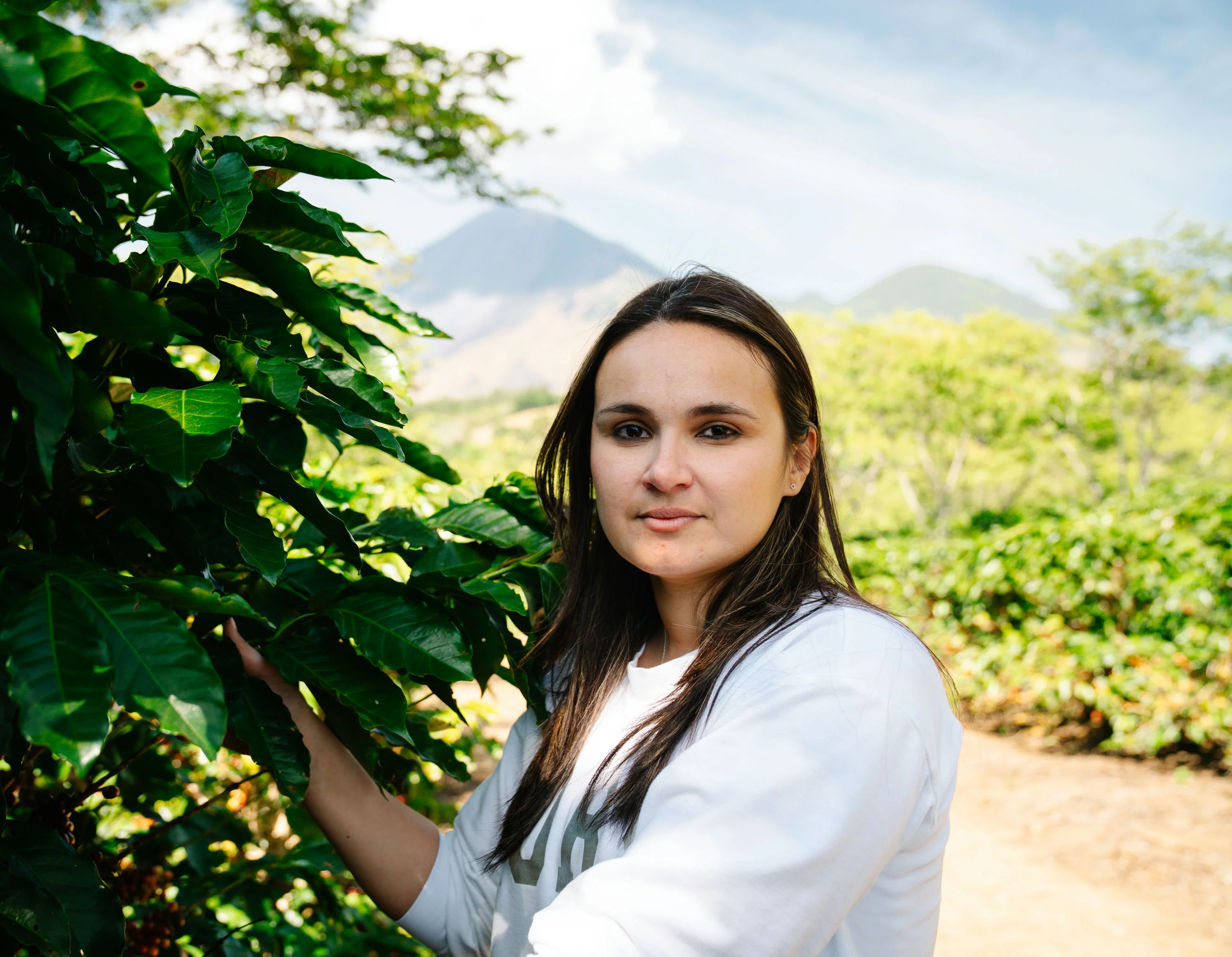 Guatemala - ELLA Women Producers | Washed - 40g - Image 3