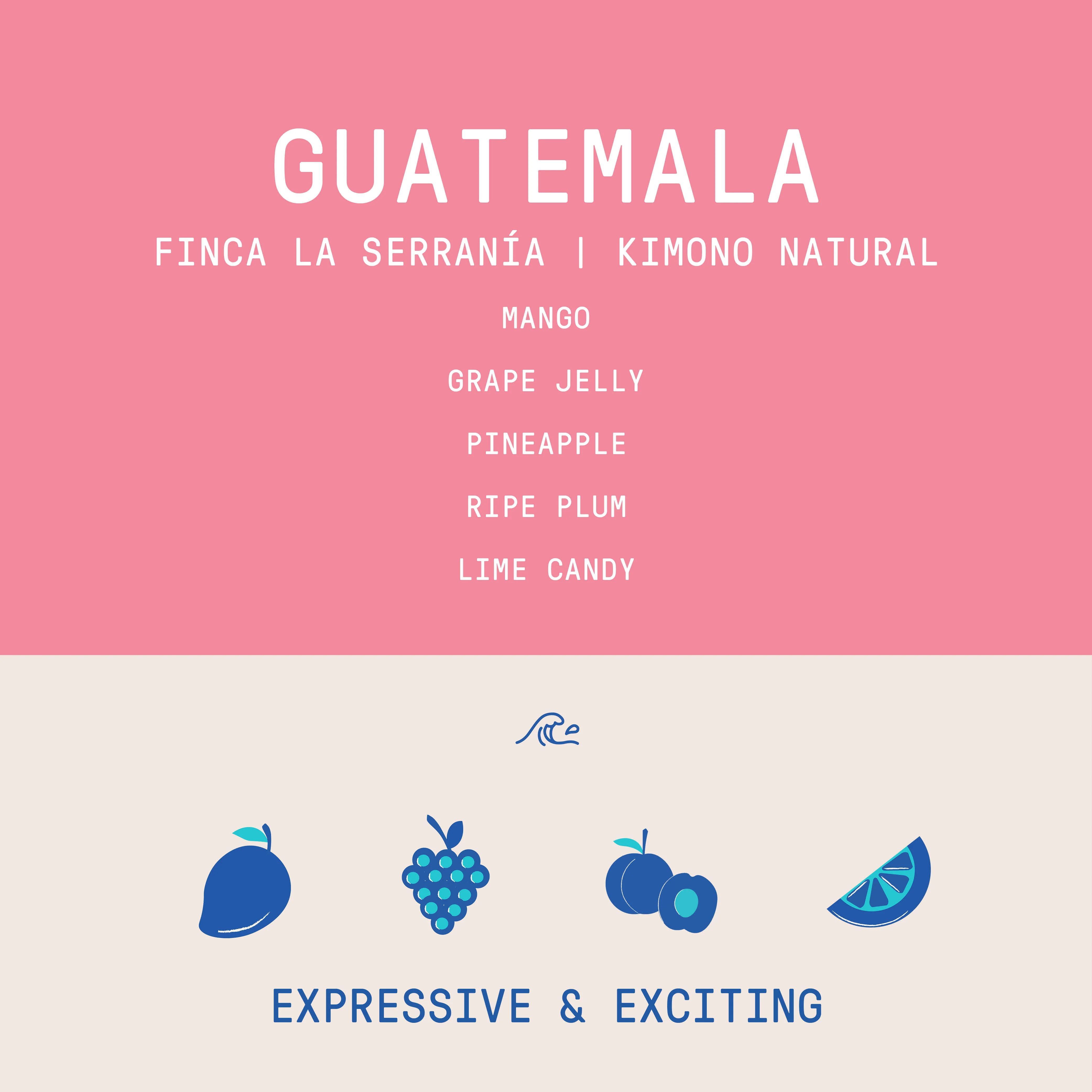 Guatemala - Finca La Serranía | Kimono Natural - 200g - Archived - Image 2