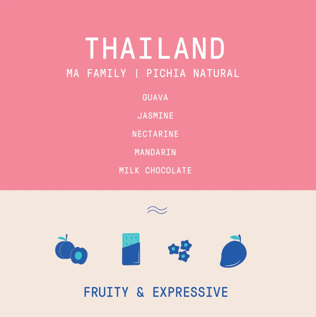Thailand - Ma Family | Pichia Anaerobic Natural - 23 bag Nano Lot - 100g - Archived - Image 2
