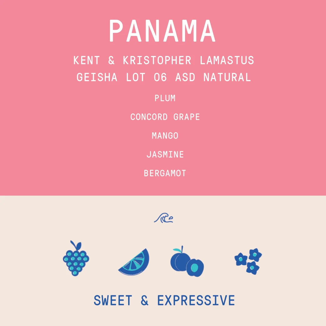 Panama - Kent and Kristopher Lamastus - Geisha Lot 06 | ASD Natural - 100g - Archived - Image 2