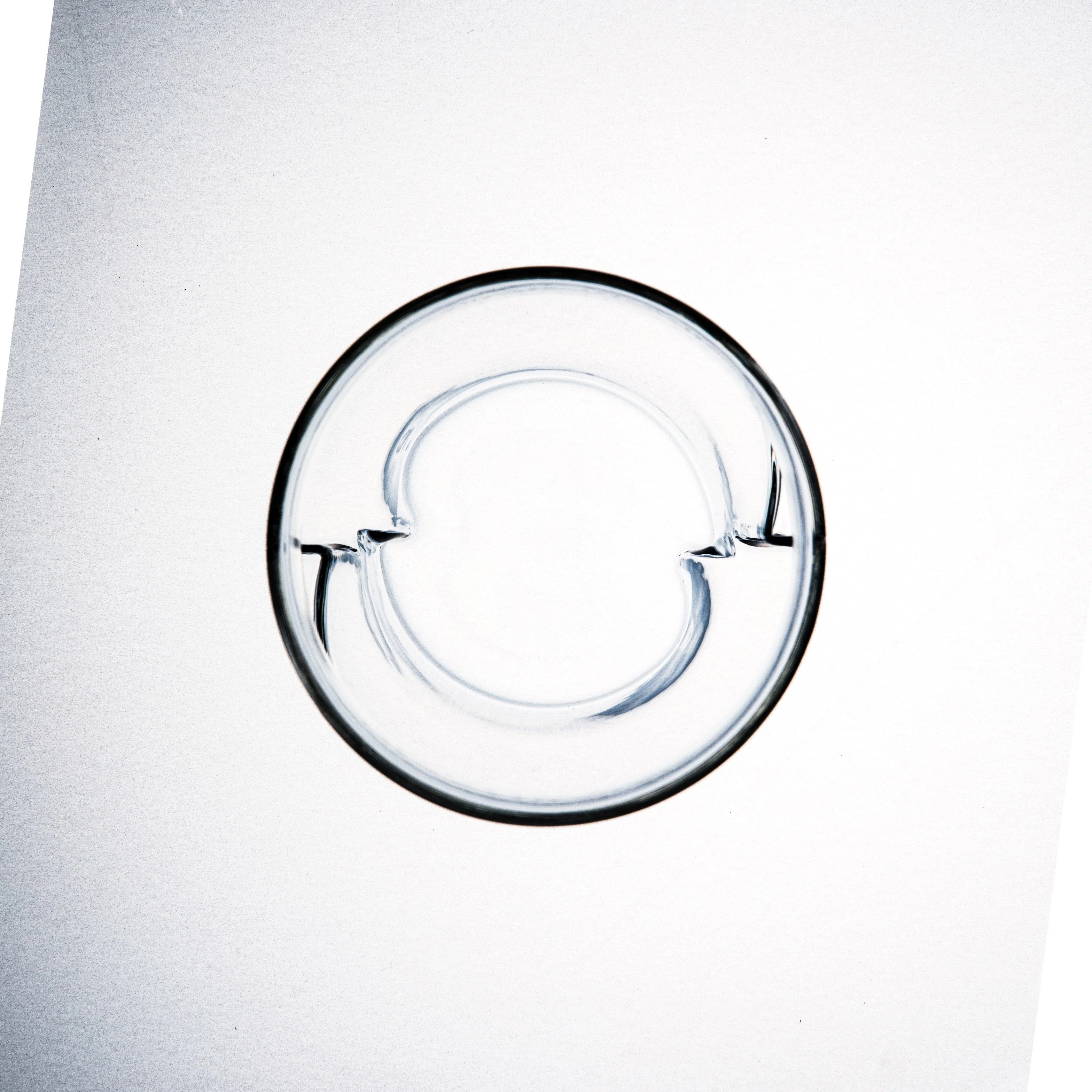 ICOSA - Avensi Wave - ALTO Tasting Glass - Clear - Image 3