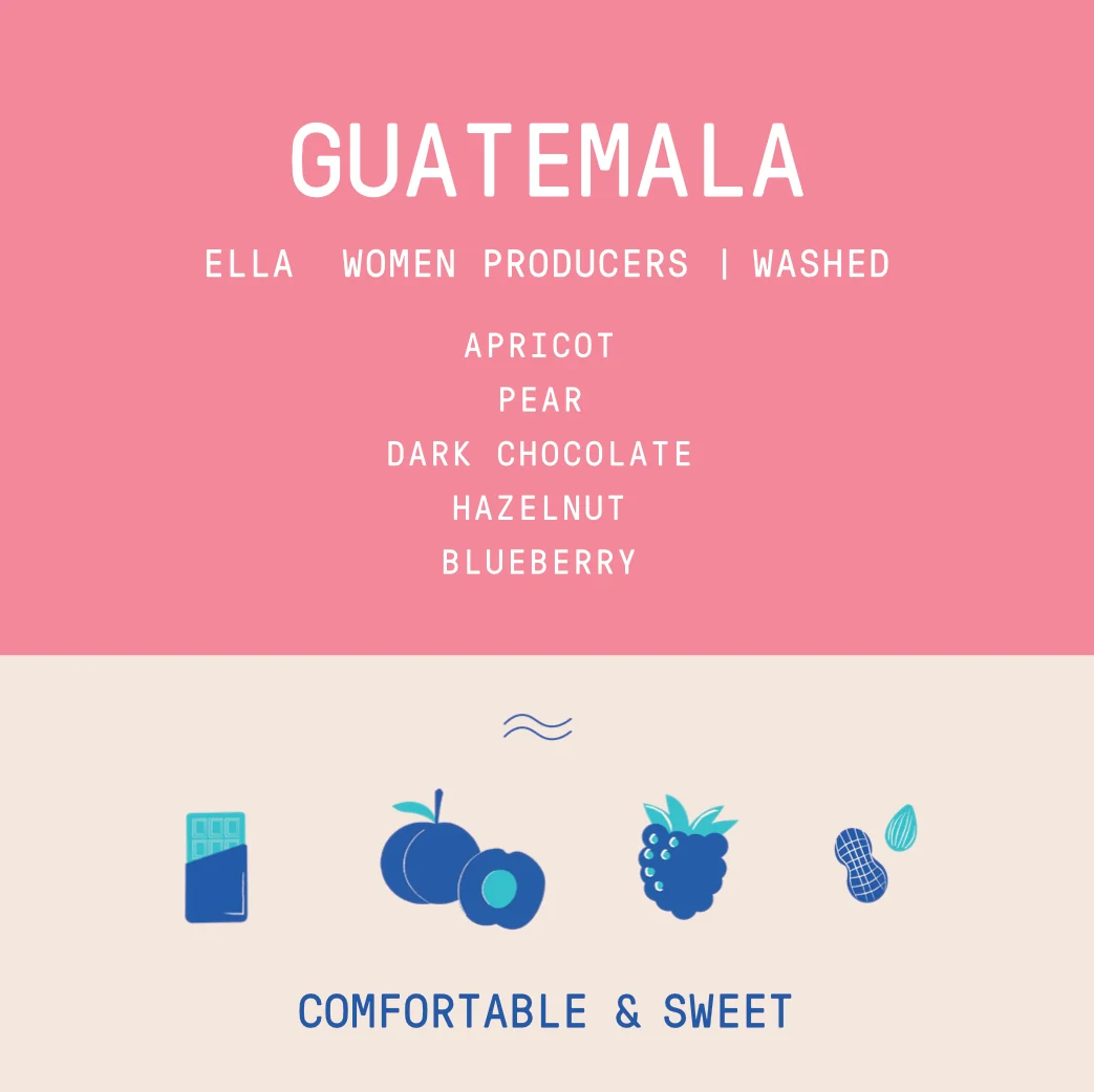 Guatemala - ELLA Women Producers | Washed - 40g - Image 2