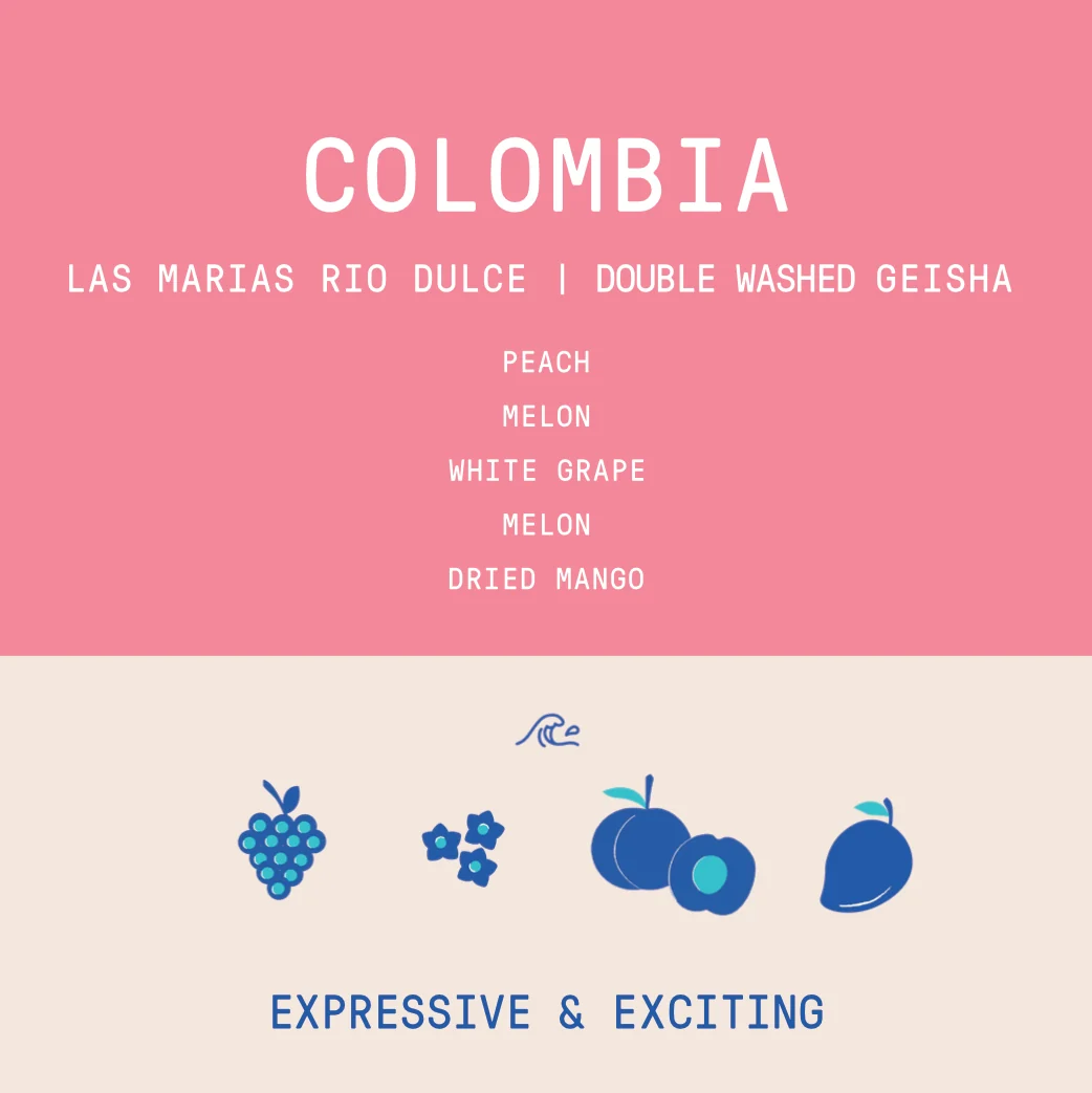 Colombia - Las Marias Rio Dulce Geisha | Washed 100g - Archived - Image 2
