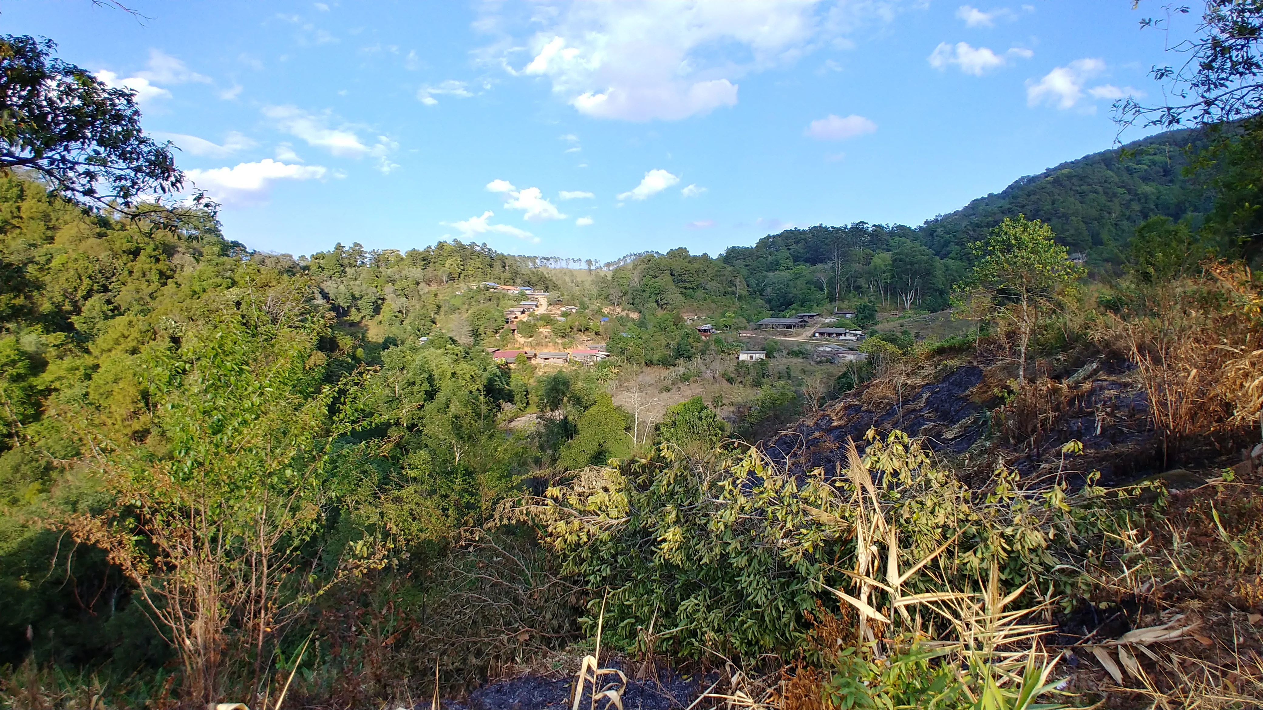Thailand - Karen Farm | Natural - Archived - 250g - Image 7