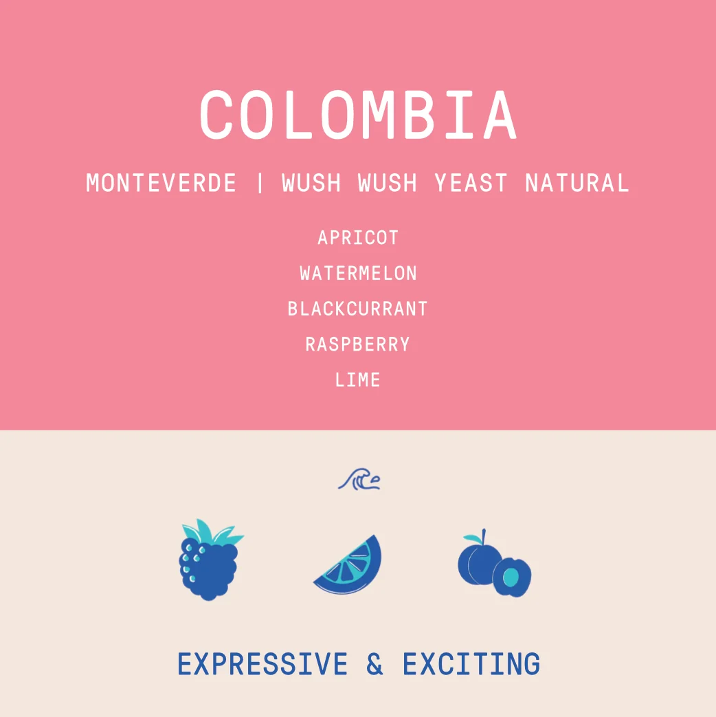 Colombia - Monteverde | Wush Wush Yeast Anaerobic Natural - Archived - 200g - Image 2