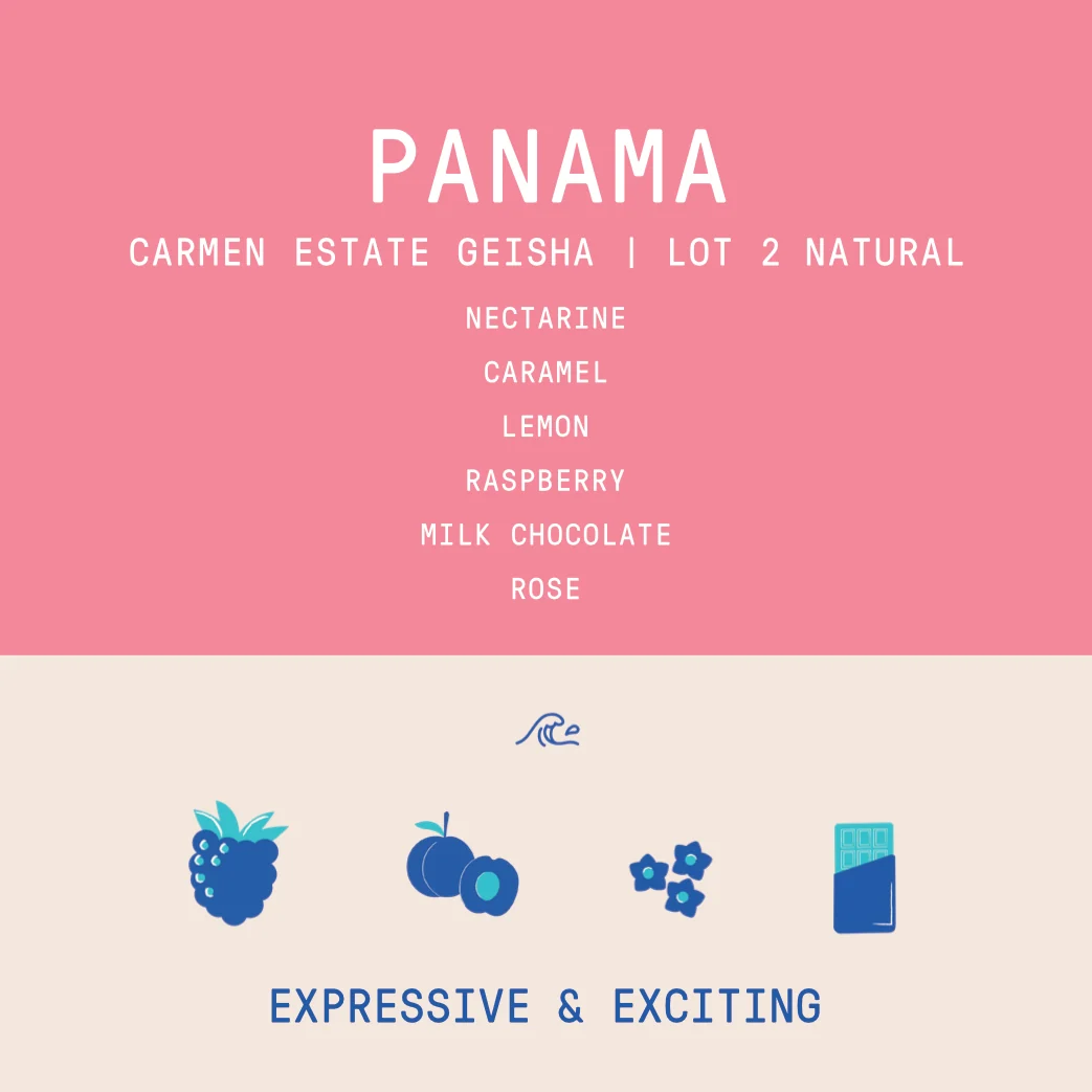 Panama - Carmen Estate Geisha Lot 2 | Natural - 100g - Archived - Image 2