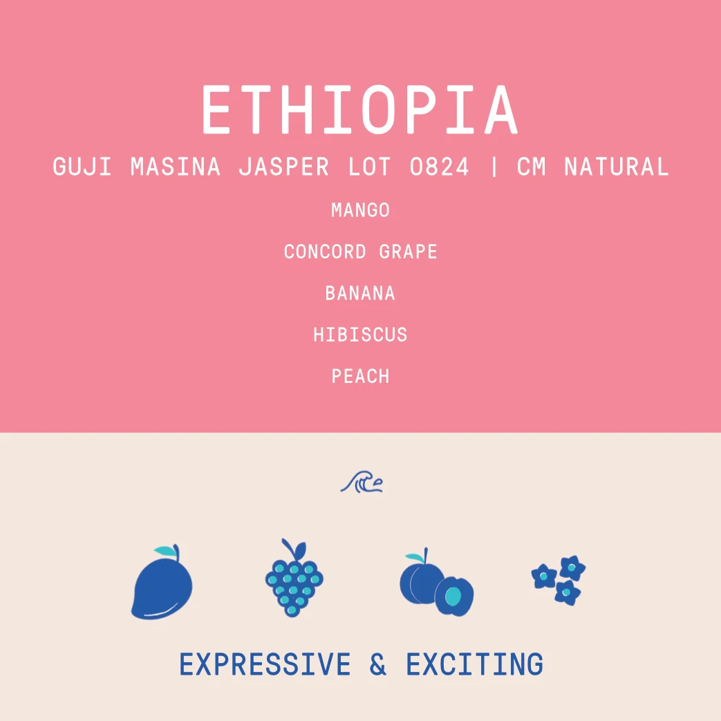 Ethiopia - Project Origin Guji Masina Jasper Lot 0824 | CM Natural - 150g - Archived - Image 2