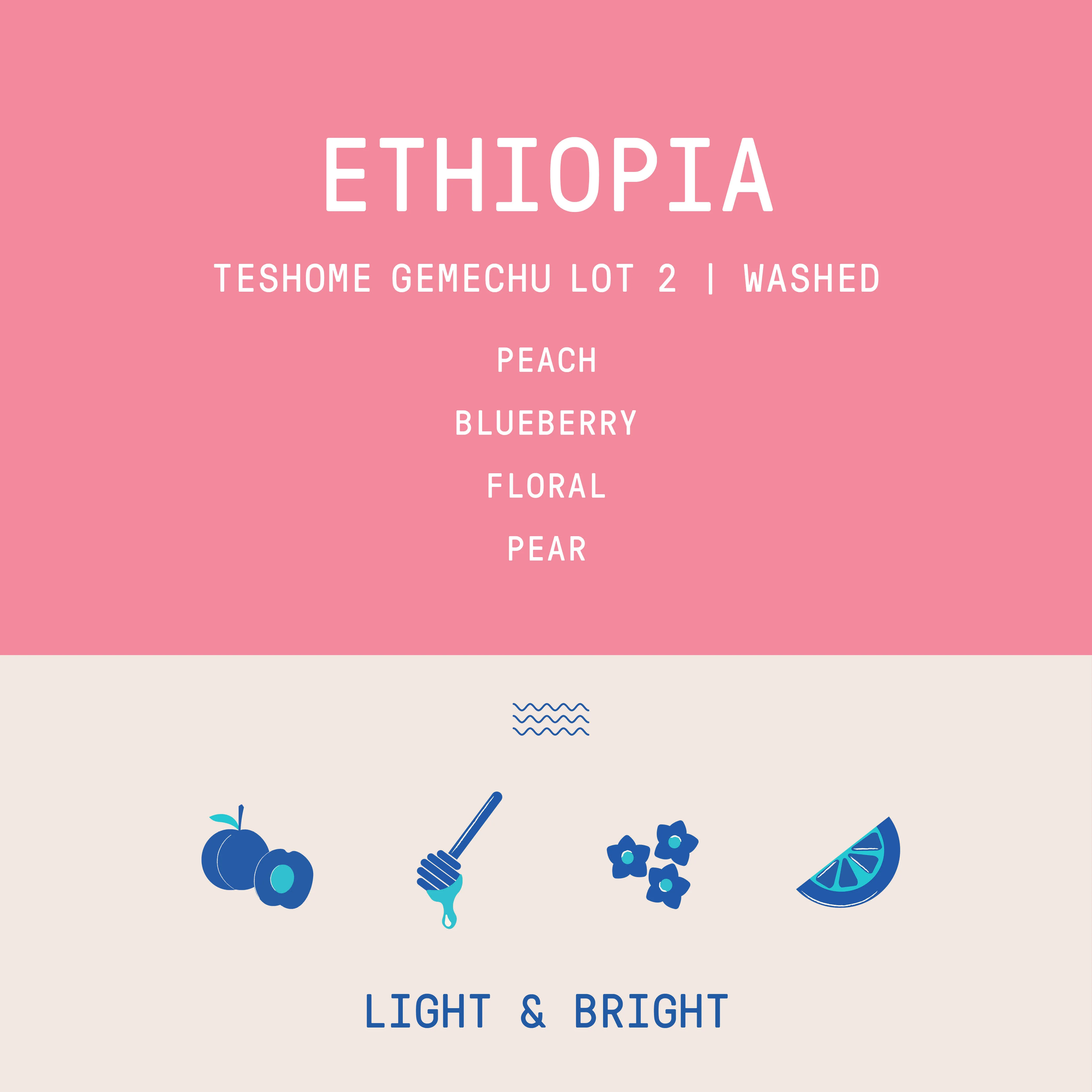 Ethiopia - Teshome Gemechu Lot 2 | Washed - Archived - 340g - Image 2