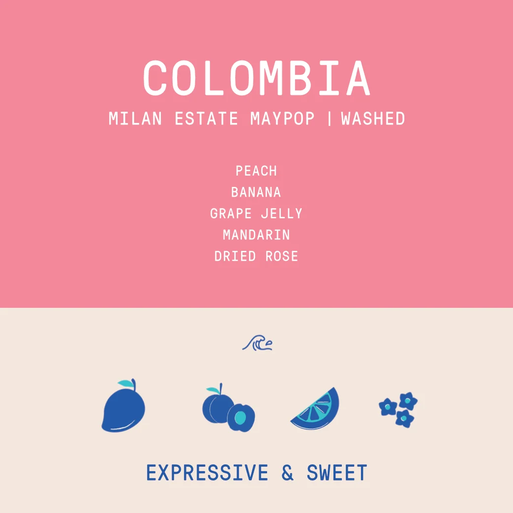 Colombia - Milan Estate Maypop | Lychee Culturing Washed - Archived - 200g - Image 2