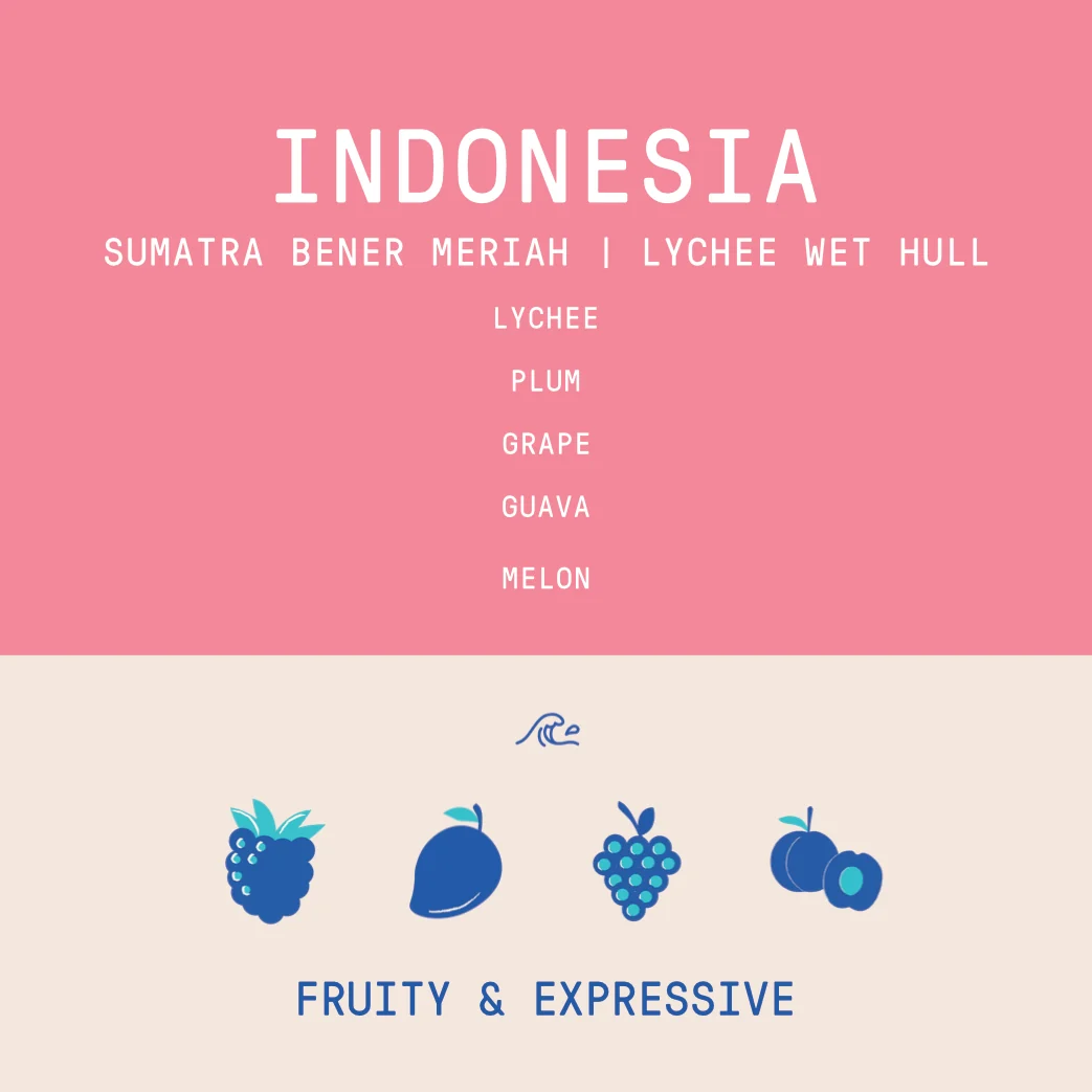 Indonesia - Sumatra Bener Meriah | Lychee Coferment Wet Hull - Archived - 40g - Image 2