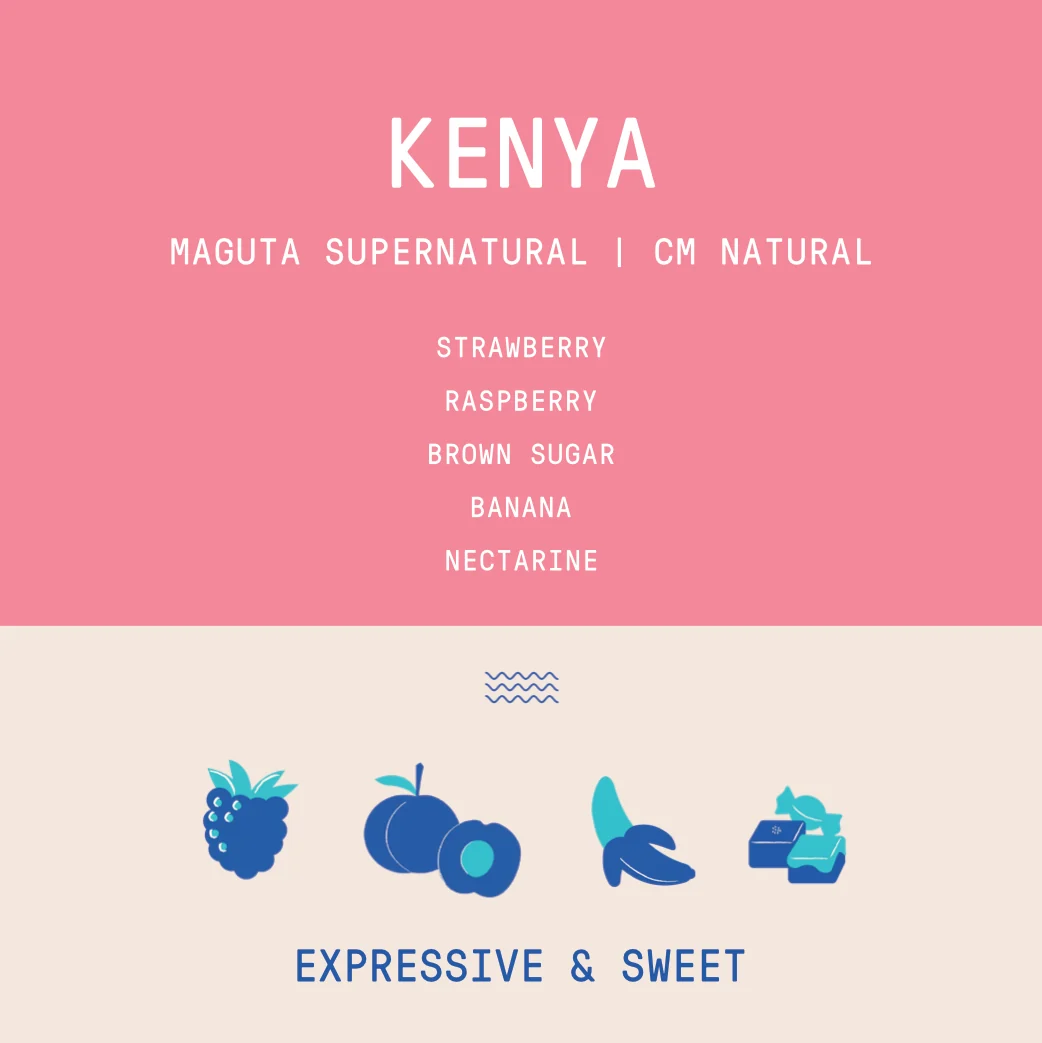 Kenya - Project Origin Maguta Estate Supernatural Lot 172 | CM Natural - 100g Archived - Image 2