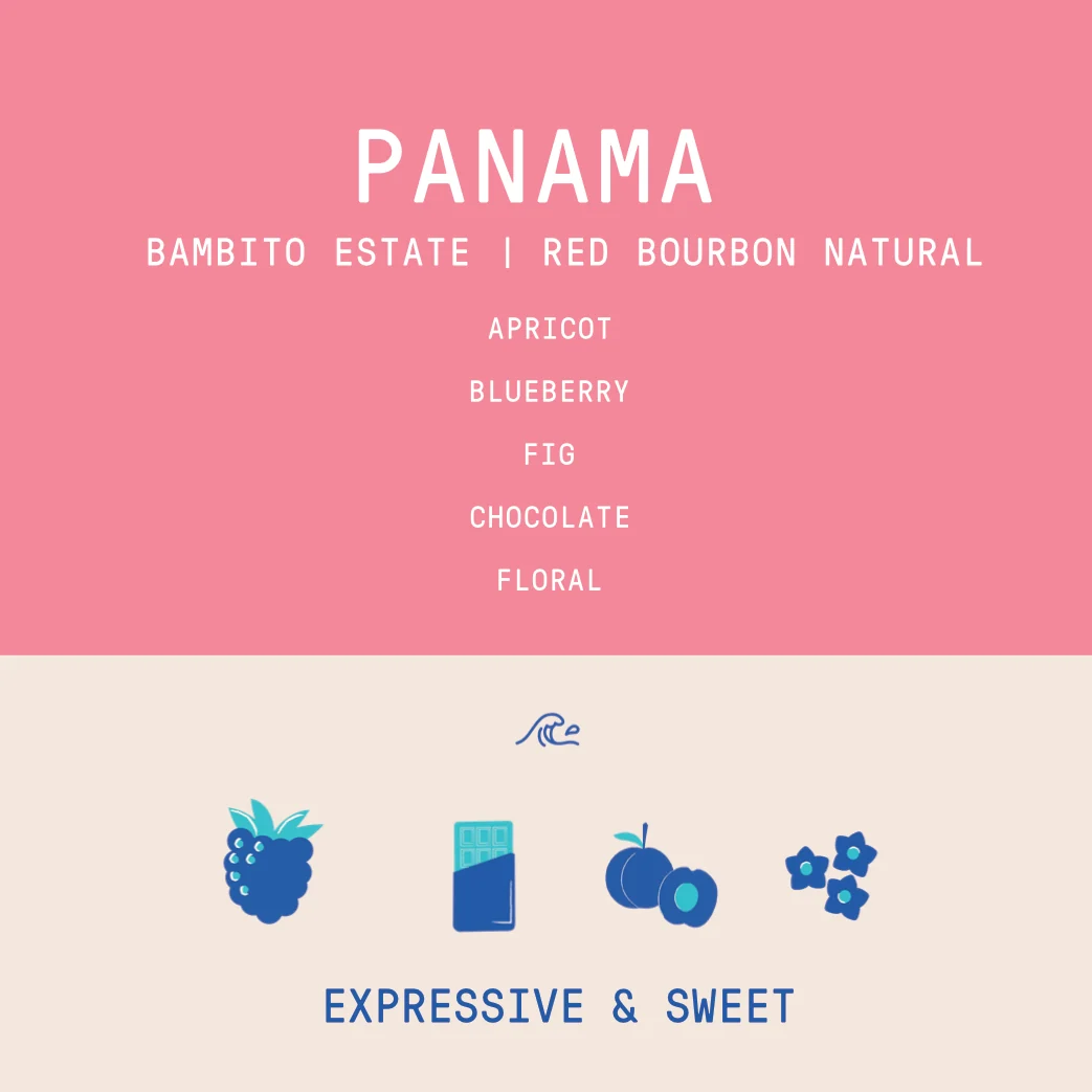 Panama - Bambito Estate Red Bourbon | Natural - Archived - 200g - Image 2