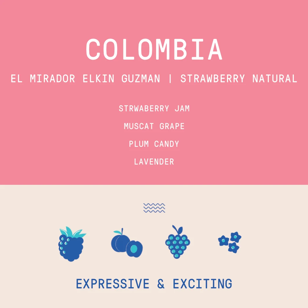 Colombia - Elkin Guzman El Mirador Catiope | Strawberry Co-ferment - Archived - 40g SAMPLE - Image 2