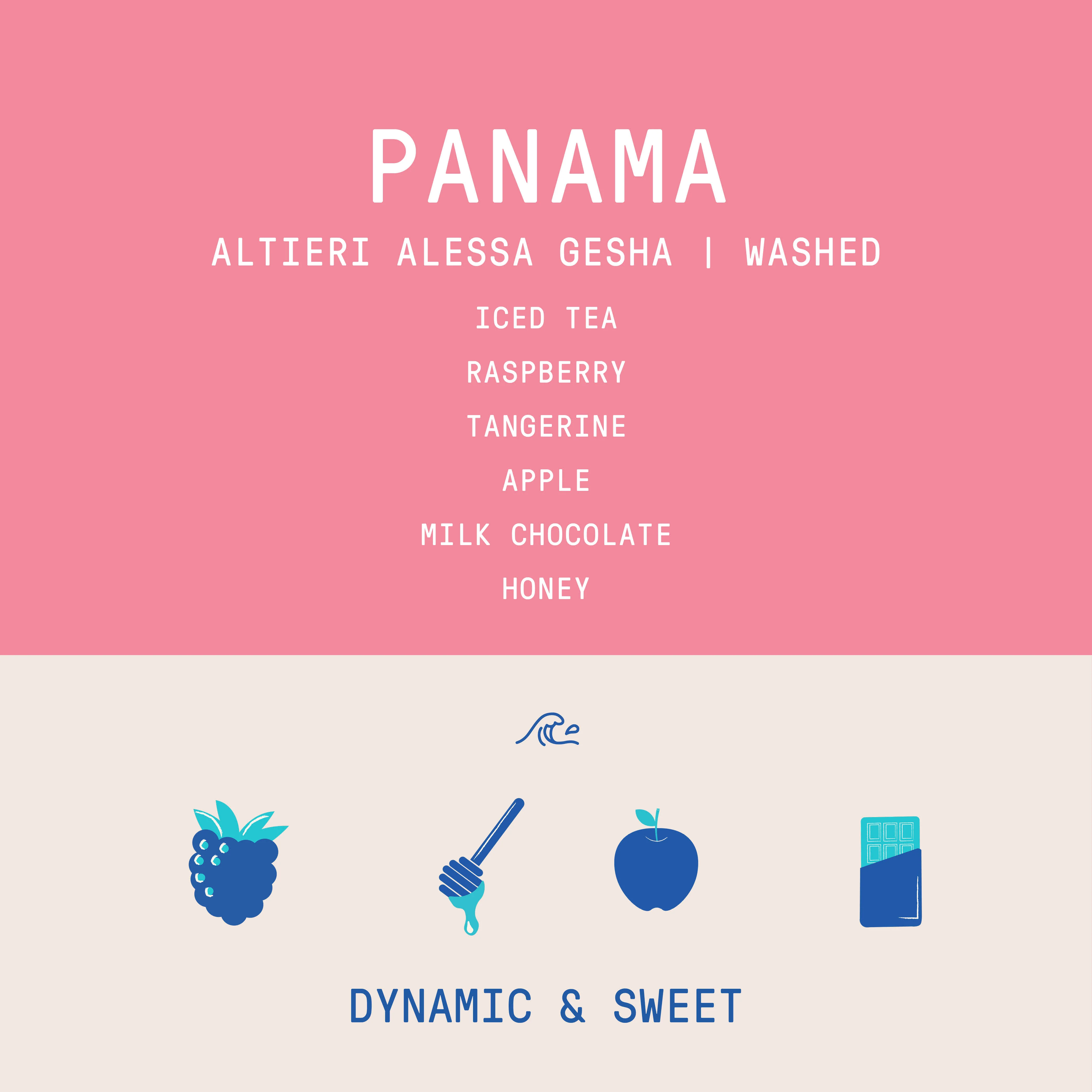 Panama - Altieri Alessa Gesha | Washed - 100g - Archived - Image 2