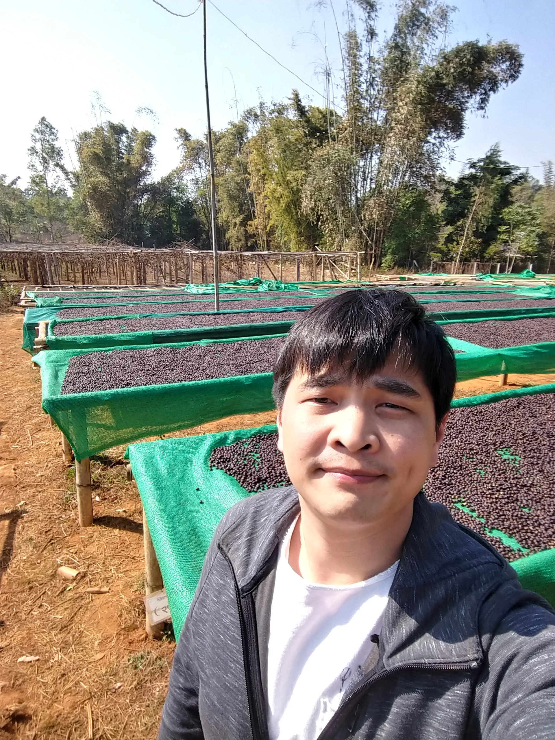 Myanmar - A Lel Chaung Village | Natural 2026 - Archived - 2.5 KG - Image 6