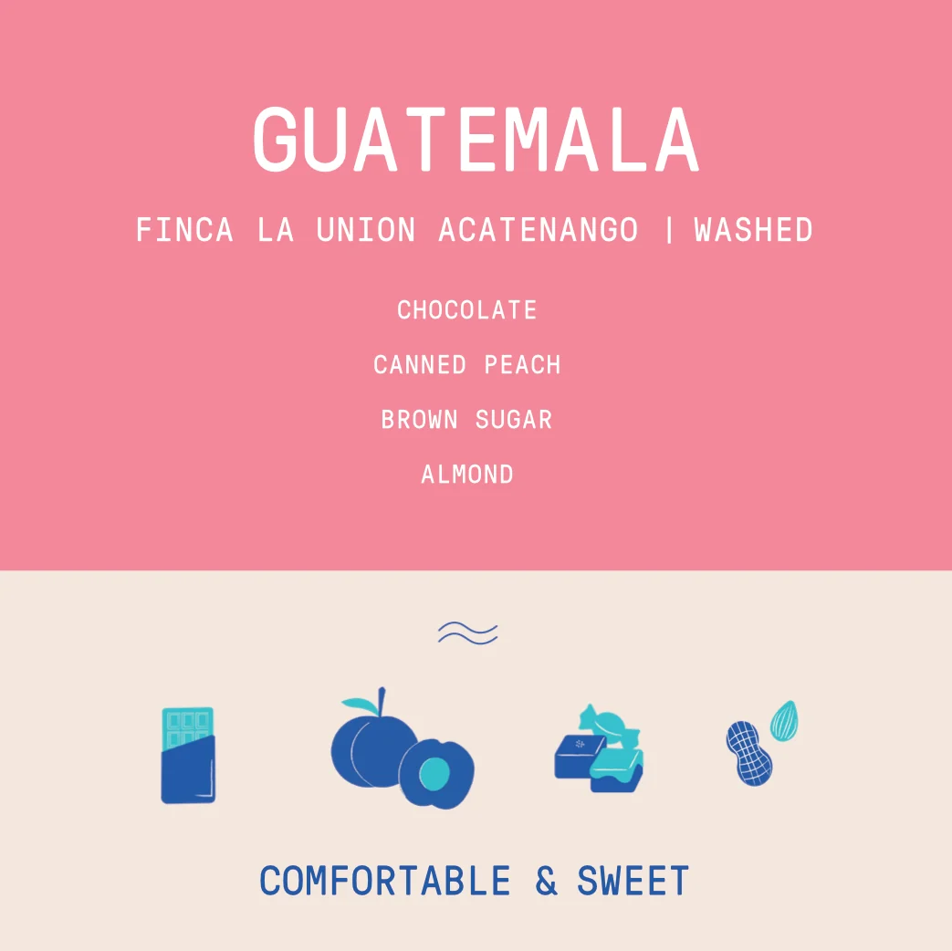 Guatemala - La Union Acatenango | Washed - Archived - 2.5 KG - Image 2