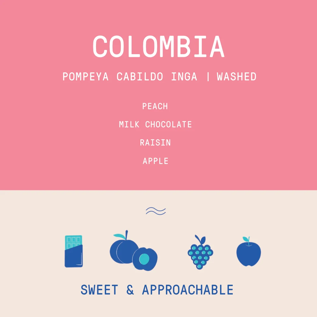 Colombia - Pompeya Cabildo Inga | Regional Lot Washed - Archived - 2.5 KG - Image 2
