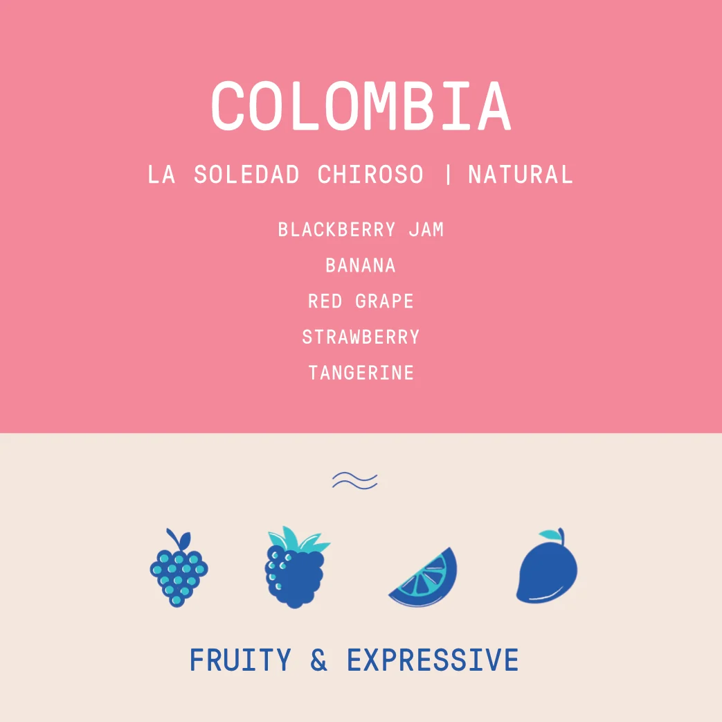 Colombia - La Soledad | Chiroso Natural - Archived - 200g - Image 3