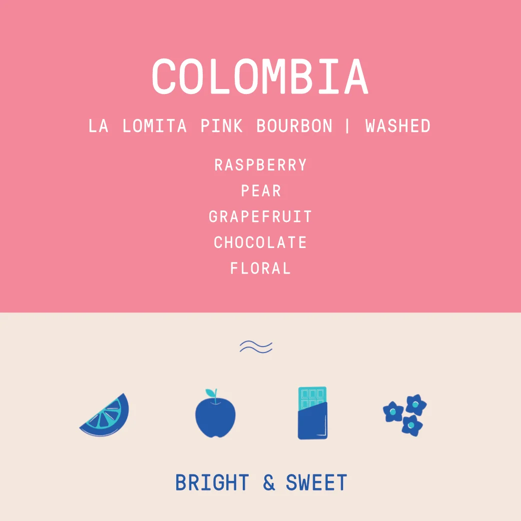 Colombia - La Lomita Eulises Guzman | Pink Bourbon Washed - Archived - 2.5 KG - Image 2